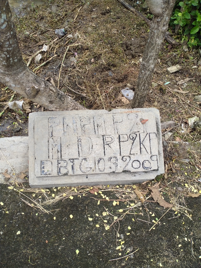 This media file captures an outdoor scene featuring a rectangular concrete slab resting on the ground, positioned between the trunks of two trees. The slab, which appears weathered, has text carved or etched into its surface, with some letters highlighted in black paint.
The visible text on the slab reads:
PNPMPZ
M.D.RPZKI
DBTC032009
The surrounding environment consists of muddy ground covered with dry grass, small branches, and some debris or litter, particularly visible in the area around the tree trunks. In the foreground, there is a darker, possibly wet or stained, paved surface. The scene is static, showing no human activity. The natural light indicates it is daytime. Based on the provided context, the location suggests an area in Kecamatan Kebakkramat, Indonesia.