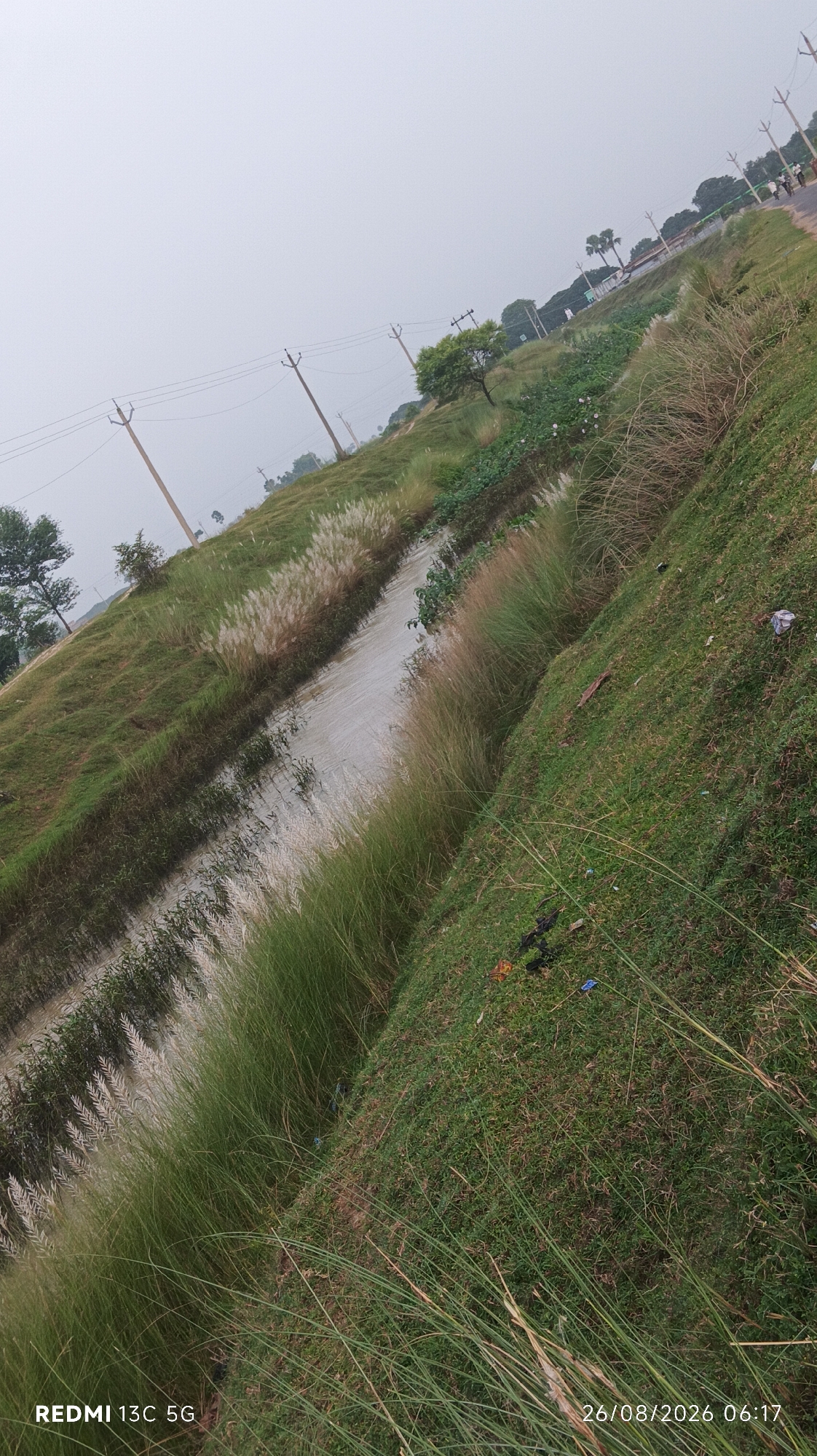 The image depicts a rural scene in Narayanpur, India, on August 26, 2026, at 06:17. A narrow, slow-moving body of water, possibly a drainage canal, runs diagonally through the frame from the upper left to the lower right. The banks of the water channel are covered in dense green grass and tall, feathery white plumes of vegetation, likely Saccharum spontaneum (Kashful). The terrain slopes upward from the water's edge, covered in lush green grass. In the background, a road is visible with a few people walking. Several utility poles with overhead wires are scattered across the landscape, indicating the presence of infrastructure. The sky is overcast with a pale, uniform gray color, suggesting a cloudy or misty day. There is some litter, including plastic wrappers, scattered on the grassy slopes. The overall impression is one of a natural, undeveloped area adjacent to a rural road.
