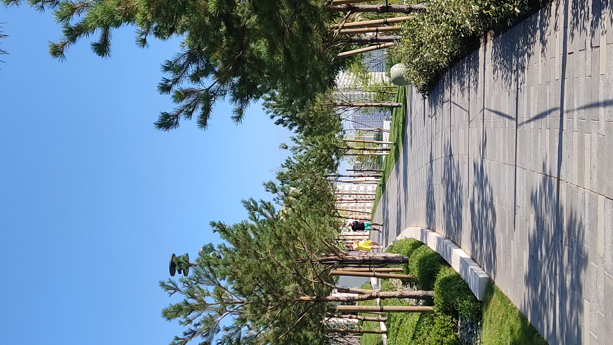 In this outdoor, full-frame, eye-level shot, two people are walking on a paved pathway through a park lined with young trees. The pathway curves gently to the left, disappearing into the distance. The man, on the right, wears a dark t-shirt and turquoise shorts, while the woman, on the left, is dressed in a bright yellow dress. Both are walking away from the camera. The trees are planted in a row on either side of the path, with their trunks secured by wooden stakes. Green grass and manicured bushes flank the pathway. In the background, a row of multi-story buildings, characteristic of a city, rises behind the trees, under a clear, bright blue sky. The sun casts dappled shadows from the trees onto the pathway. The scene appears to be in a well-maintained urban park.