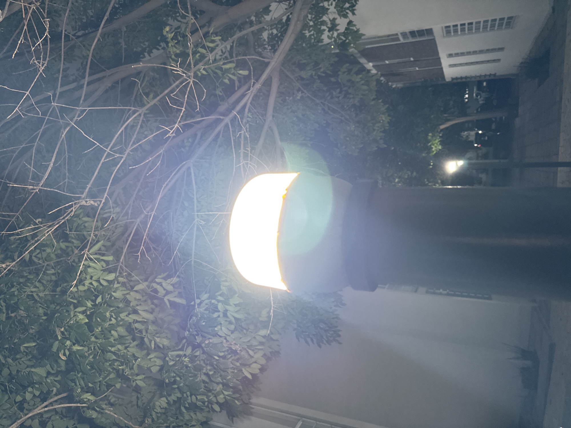 The image shows a streetlight illuminating the surrounding area at night. The light is a bright, yellow-white, and is partially obscured by lens flare. The streetlight is situated in a residential area of Puebla, Mexico, as can be seen from the type of buildings. The light pole is dark. In the foreground are the branches and foliage of a tree. The background includes a building with a row of windows. The image has been rotated.