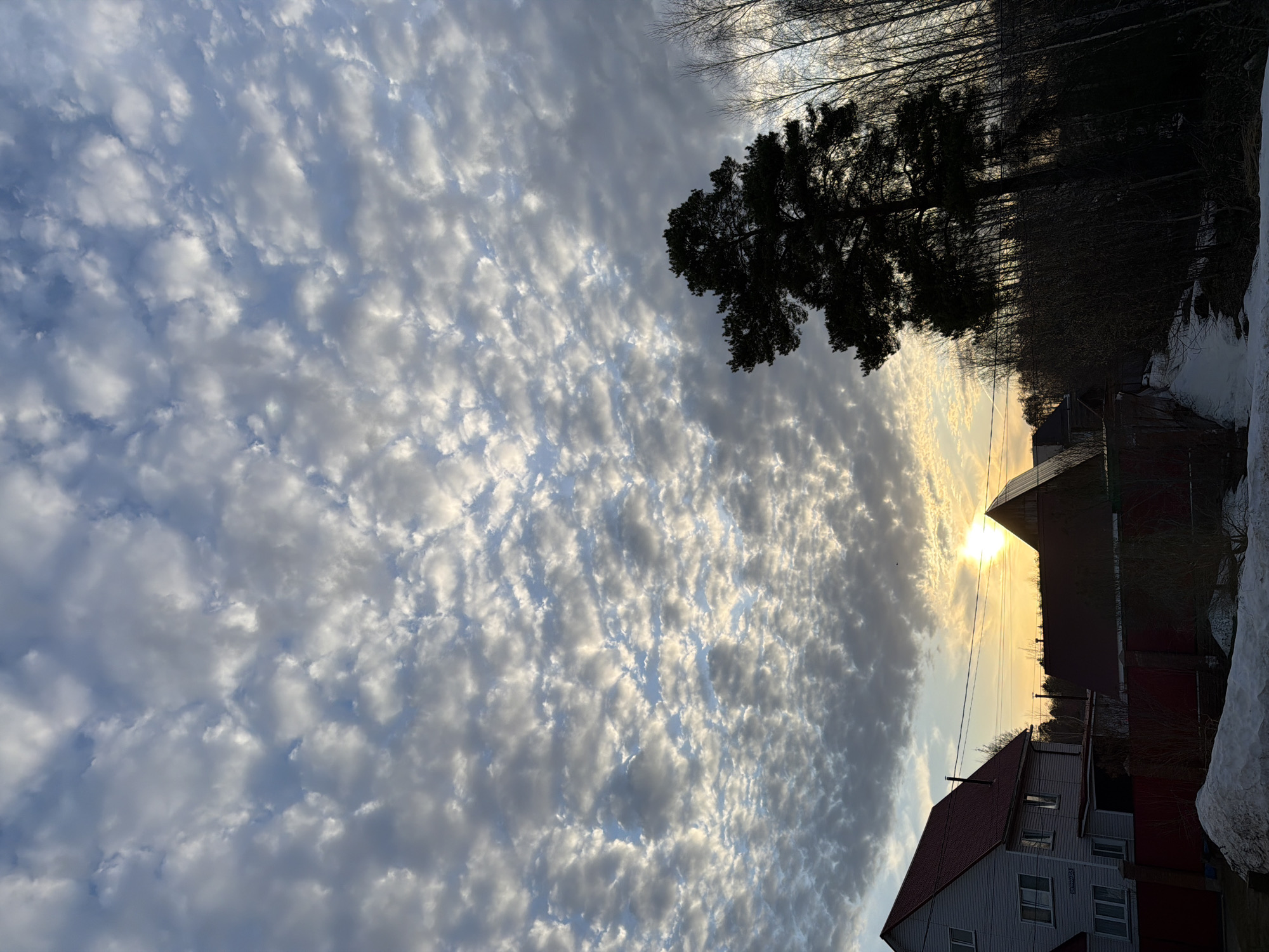 The image shows a view of a sky filled with patterned clouds, potentially altocumulus. The sun is low on the horizon, partially obscured by the clouds, casting a golden light. A silhouette of a coniferous tree appears in the upper right of the image. In the lower right corner, a partially visible house with a red roof and white siding can be seen. Patches of snow are present near the house. Overhead power lines are visible against the sky. This scene is located in the city of Chaikovsky, Russia.
