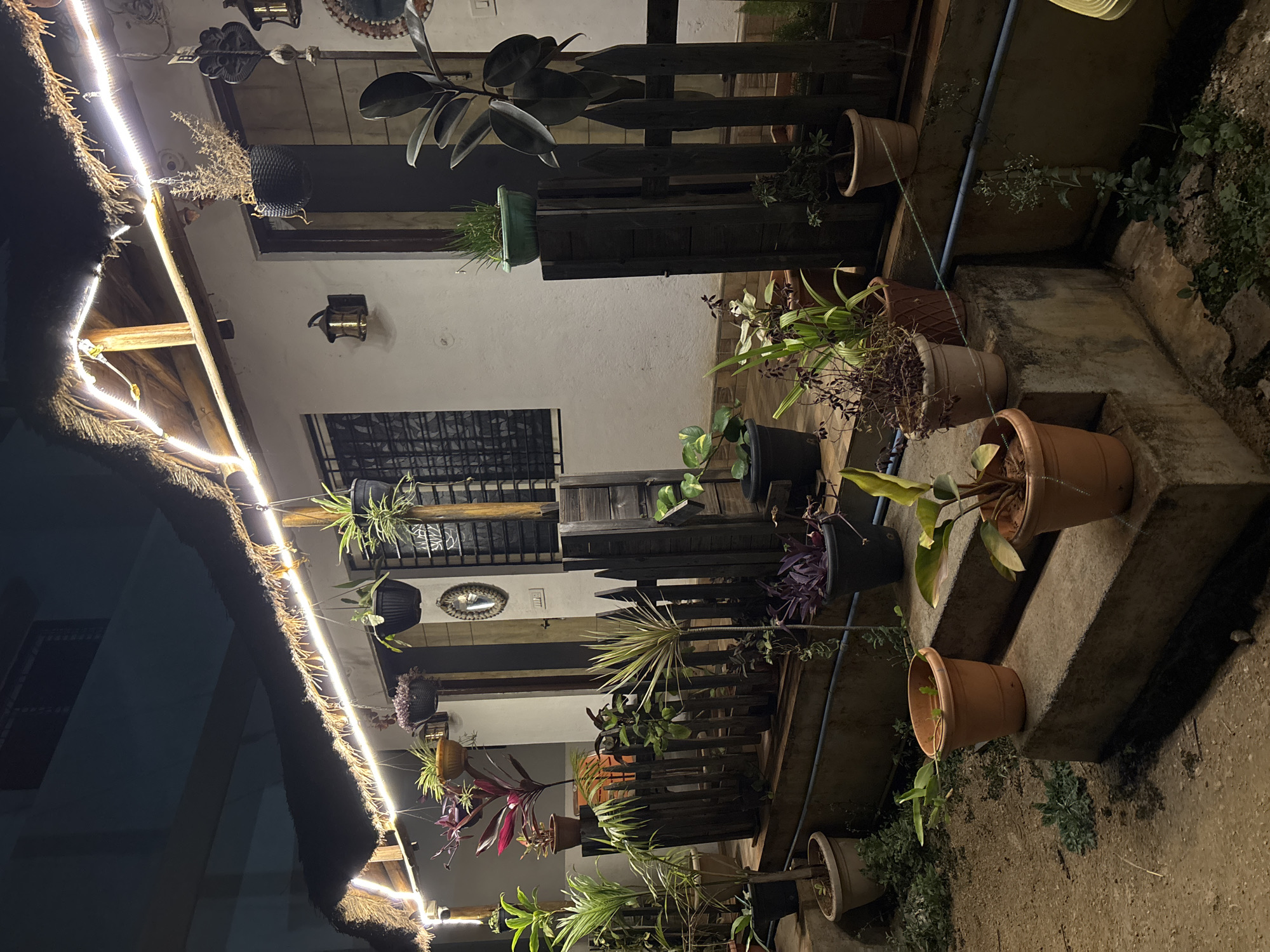 The image depicts an outdoor courtyard or patio at night, likely in Kaddiramapura, India. The area is illuminated by string lights draped along the edge of a thatched roof. A two-story building is visible, featuring white walls, windows with metal grilles, and several hanging planters along the facade. A wooden fence-like structure adorned with various potted plants runs alongside a set of steps. Terracotta pots containing greenery are placed on the steps themselves. The ground is dirt. No people are visible.