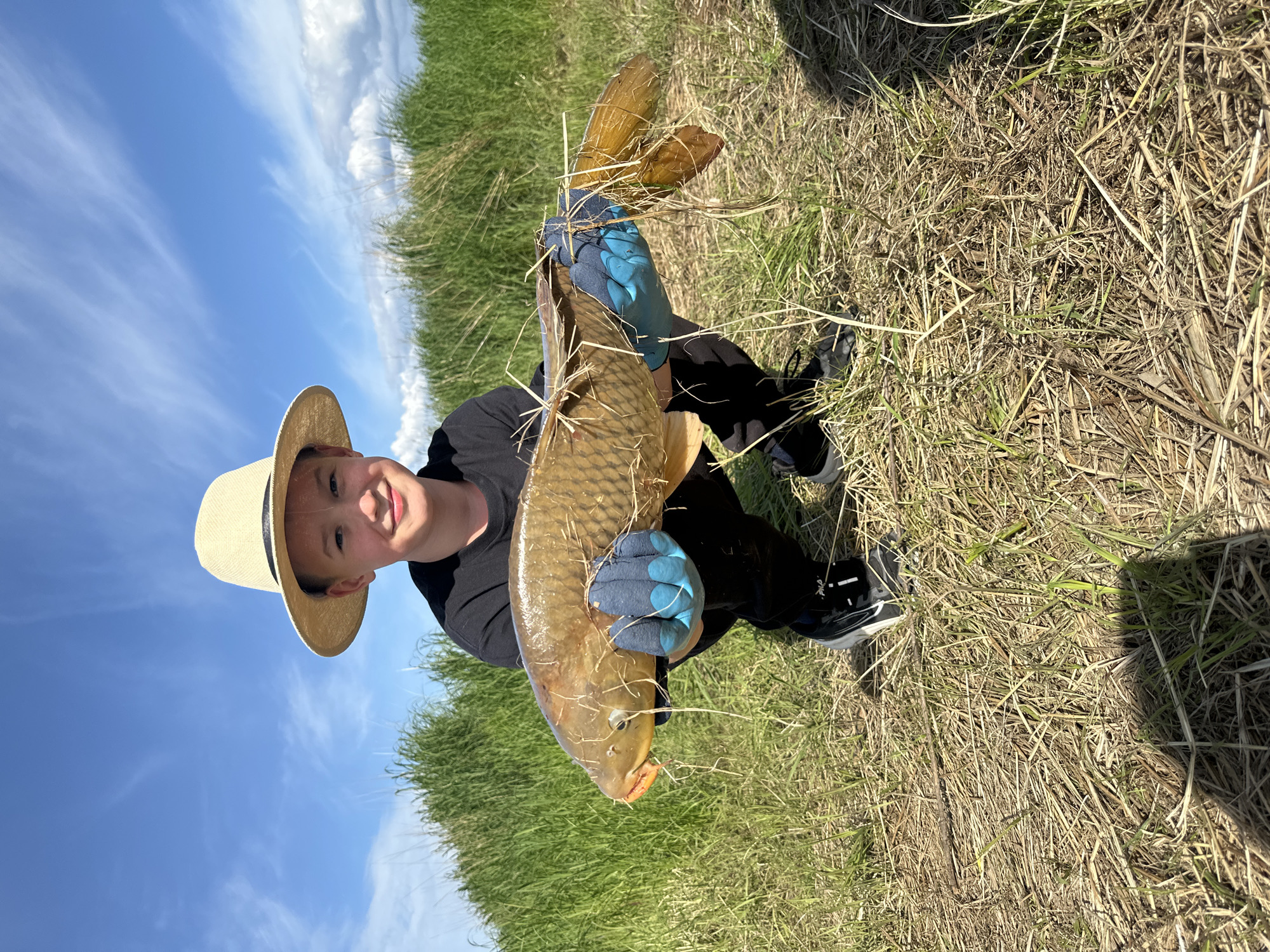 A young boy wearing a straw hat, black t-shirt, black pants, and black and white athletic shoes kneels in dry grass. He is holding a large, brown carp with both hands, wearing blue and light blue fishing gloves. The fish has yellow-orange fins and is covered in some dried vegetation. The boy is smiling at the camera. Behind him is a field of tall green grass and a bright blue sky with scattered white clouds. The scene appears to be outdoors in a natural, possibly rural, setting. The image was taken in the city of Im. Tel'mana, Russia.
