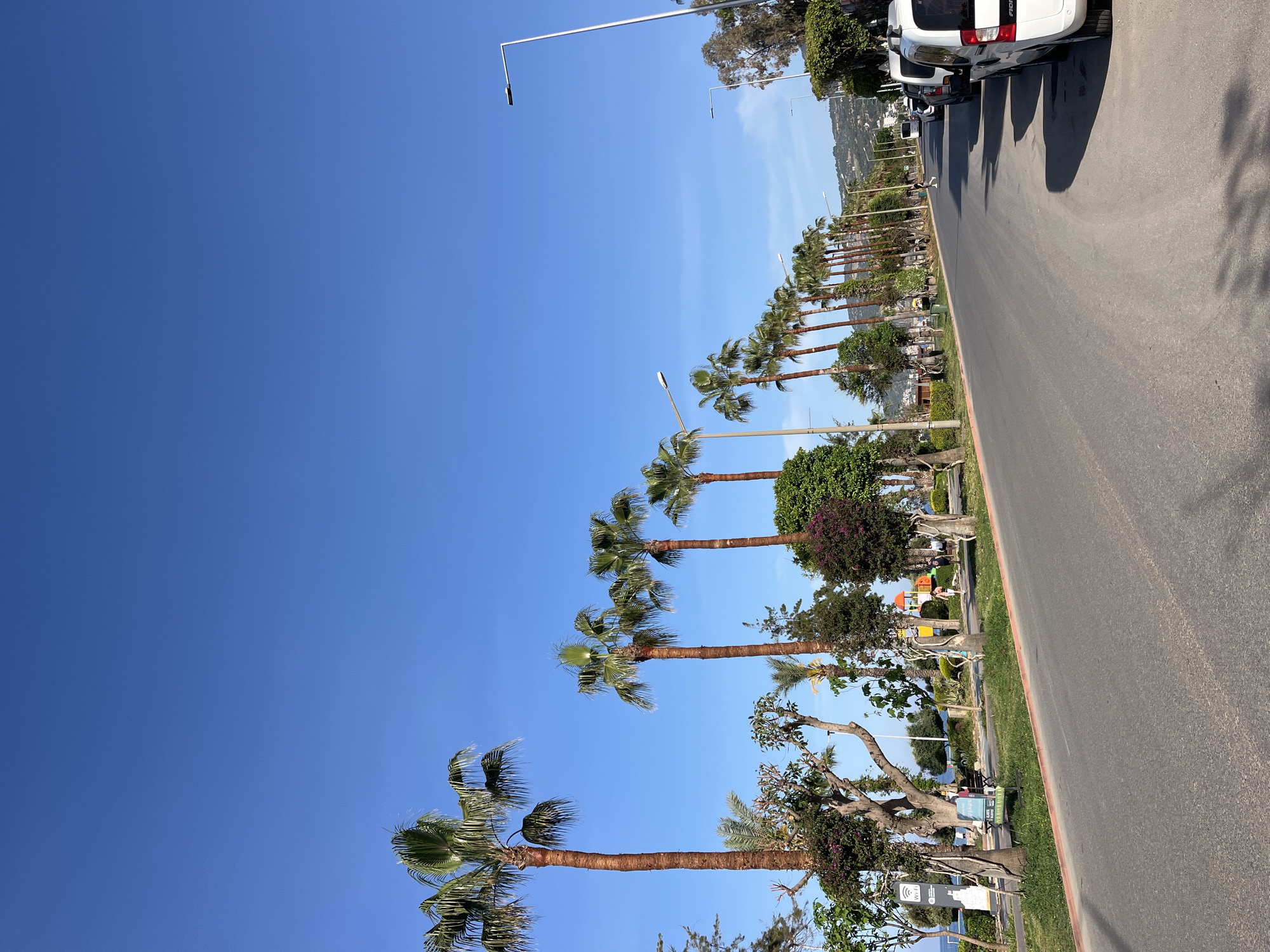 This image captures a bright, sunny outdoor scene, likely a street or promenade in a warm climate. The image is oriented vertically, but if viewed horizontally, a clear blue sky dominates the upper left portion.
A wide asphalt road runs along the right side of the frame, with several white vehicles, including a van or SUV with "FİORINO" visible on its rear, parked along its edge. Strong shadows from the vehicles and tall structures are cast across the road, indicating bright sunlight.
To the left of the road is a lush green median or park area. A prominent line of tall palm trees with green fronds runs parallel to the road, extending into the distance. Among these trees, various other green bushes and smaller trees are visible, some bearing purple flowers. In the middle ground, amidst the greenery, there's a colorful playground structure with an orange/yellow slide, and a small figure, possibly a child, can be seen nearby.
Several modern streetlights with long, slender arms are interspersed among the palm trees and against the sky. In the foreground, on the left side of the green area, a white sign with a clear Wi-Fi symbol and the word "Wi-Fi" is visible, along with other unreadable text, suggesting a public access point.
In the distant background, rolling hills or mountains are visible under the blue sky, with some faint structures or buildings on their slopes. The weather appears clear and sunny, with no clouds in the bright blue sky. The strong shadows suggest it is either morning or late afternoon. The scene depicts a tranquil public space, likely for recreation and walking, typical of a coastal resort town like Alanya.