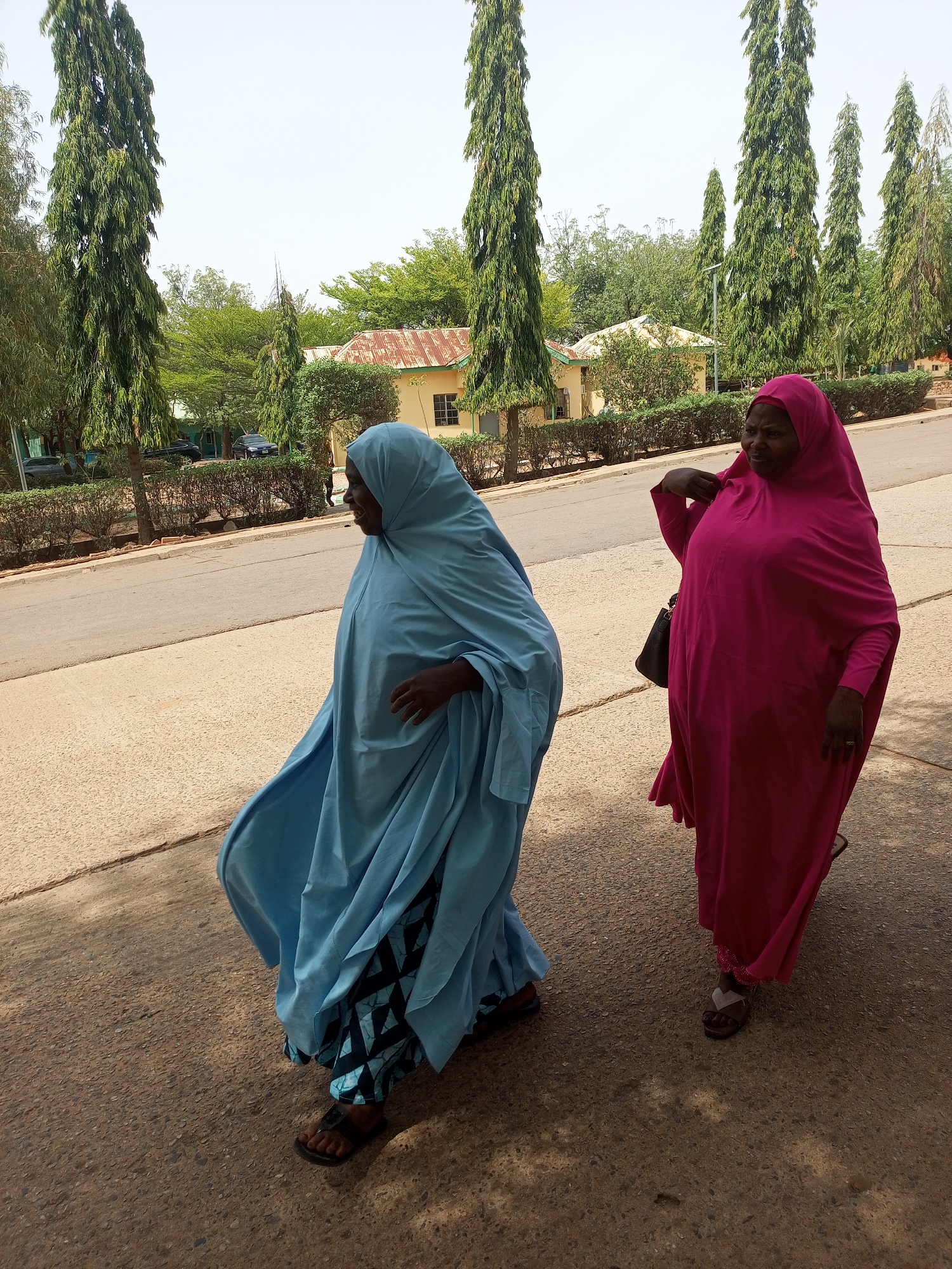 Two women wearing headscarves walk along a paved road. The woman on the left wears a light blue headscarf and patterned pants. The woman on the right wears a pink headscarf and carries a black handbag. Both women wear sandals. Tall, thin trees line the road in the background, and buildings with rusty roofs are visible. The image was taken in Gombe, Nigeria.