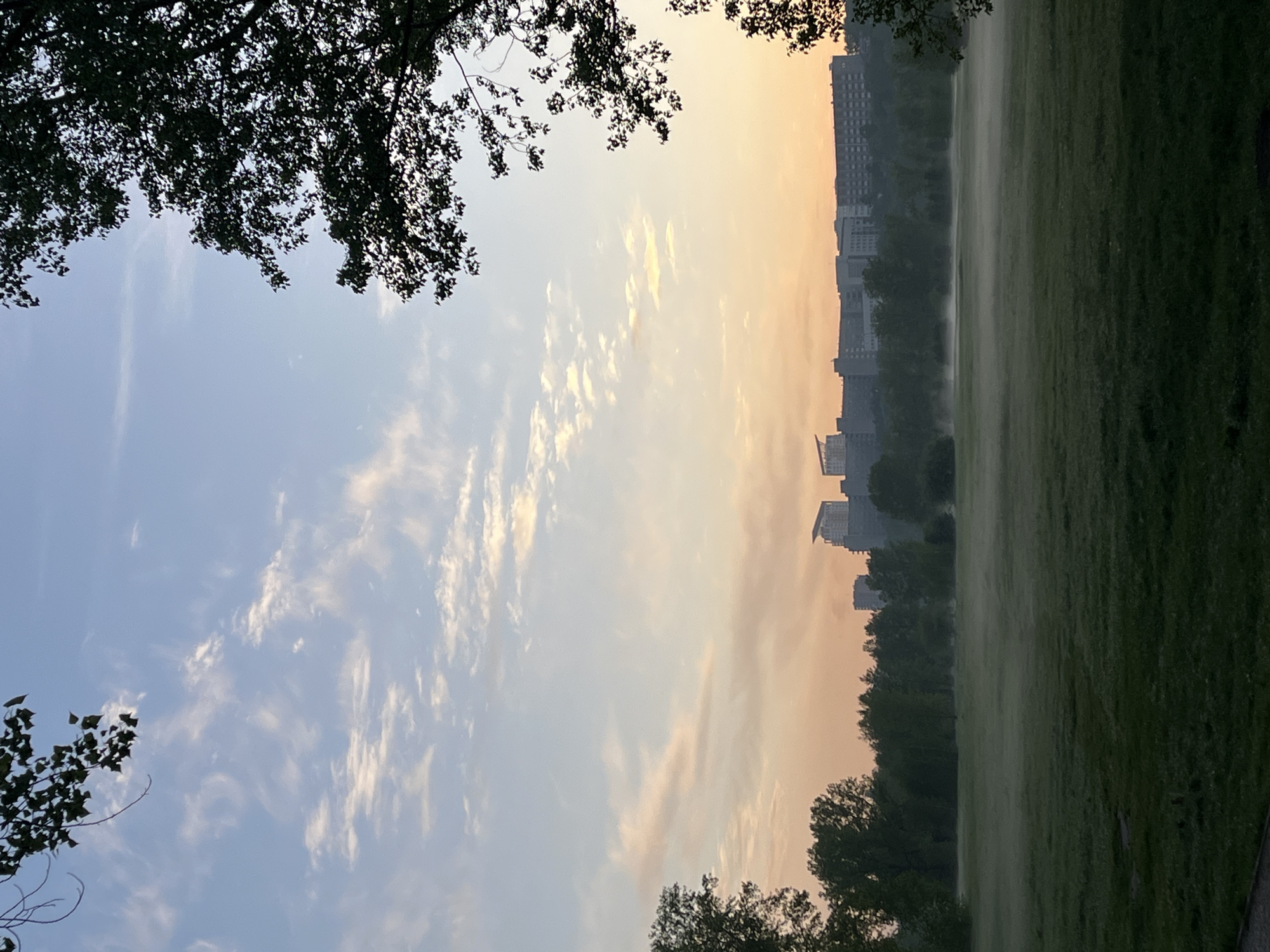 The image depicts a park scene with a grassy field and trees, framed by foliage in the foreground. In the distance, there are apartment buildings suggesting an urban setting. A light mist hangs over the field. The sky transitions from blue to a faint orange-yellow, likely at sunrise or sunset, with cloud formations visible. The location is possibly Krasnoyarsk, Russia.