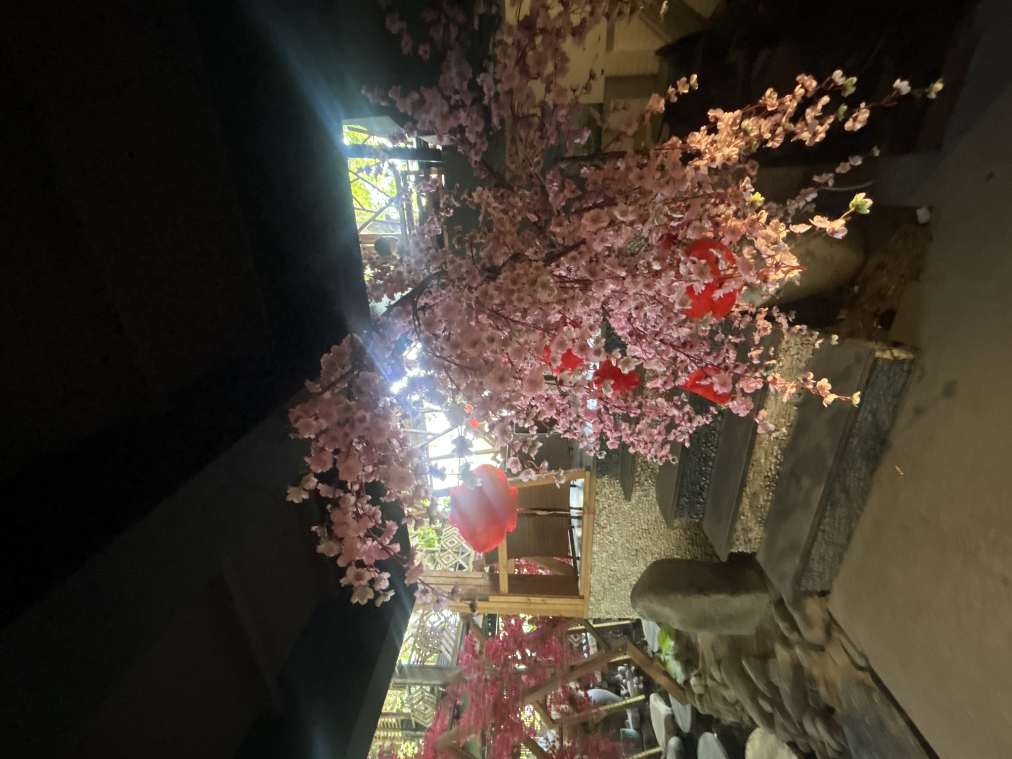 This image captures a vibrant and heavily decorated indoor or semi-enclosed space, looking upwards at an ornate ceiling and upper areas. The scene is dominated by numerous artificial pink cherry blossom-like flowers, which are densely arranged, creating a canopy effect across much of the frame. Several red lanterns are interspersed among the pink blossoms, adding a festive touch and pops of contrasting color.
Bright natural light streams in from an opening or window on the left side, illuminating parts of the floral decorations and suggesting it is daytime. Through this opening, glimpses of green foliage and some exterior structures are visible.
The background and right side of the image reveal various architectural elements. These include dark-toned, possibly wooden, framed structures or screens, and textured walls or pillars. Towards the bottom right, what appears to be a series of stone or concrete steps and ledges are partially visible, hinting at a multi-level interior design.
There are no people visible in the image, nor is there any discernible text. The arrangement of cherry blossoms and red lanterns suggests an East Asian cultural influence, creating a festive or serene ambiance, likely in a decorative setting such as a restaurant, cafe, or public area in Bắc Nha Trang, Vietnam.