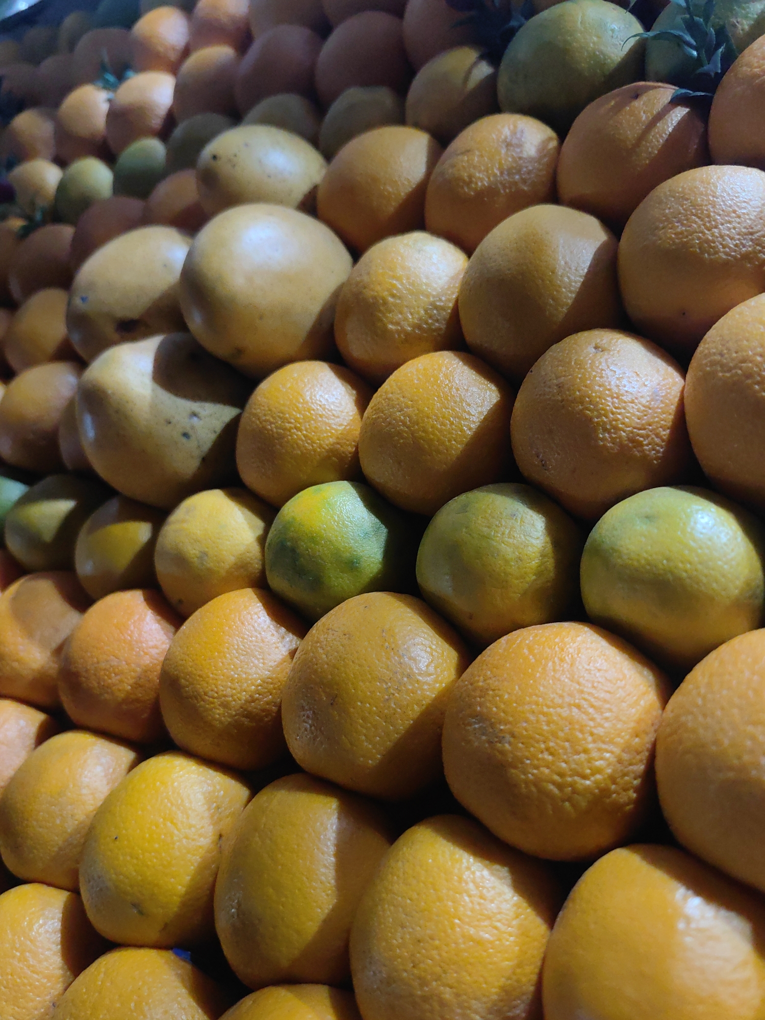 A close-up, shallow depth-of-field photograph captures a neatly stacked display of oranges and some green citrus fruits. The fruits are arranged in rows, creating a textured visual effect. The lighting casts shadows and highlights, emphasizing the bumpy surfaces of the oranges. The scene appears to be an outdoor market stall in Vashisht, India, possibly indicating a fruit vendor's display. There are no people or actions visible in the frame.