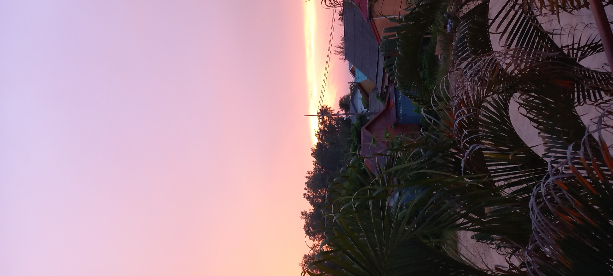 The original image, presented in a portrait orientation, captures a vibrant sunset or sunrise over a residential area in Baan Chaloklum, Thailand. The sky, dominating the left two-thirds of the frame, displays a striking horizontal gradient, transitioning from soft lavender and pale pink at the far left to a warm, glowing orange and golden hue towards the right.
A vertical horizon line runs down the right side of the image, separating the colorful sky from a densely vegetated landscape. A utility pole with power lines stands against the brilliant sky, centered vertically on the right third of the image. Below the horizon, a line of dark green trees and dense foliage is visible. Interspersed among the trees are several houses with distinct roof colors, including dark gray, teal, and a reddish-brown, suggesting a small village or community.
In the extreme foreground, occupying the lower right quadrant, are large, dark, and intricately detailed palm fronds, heavily shadowed. Their dark silhouette contrasts sharply with the bright sky and warmer tones of the distant houses, hinting at a tropical or semi-tropical setting. The overall impression is one of peaceful natural beauty at dusk or dawn, with no human activity or text visible.