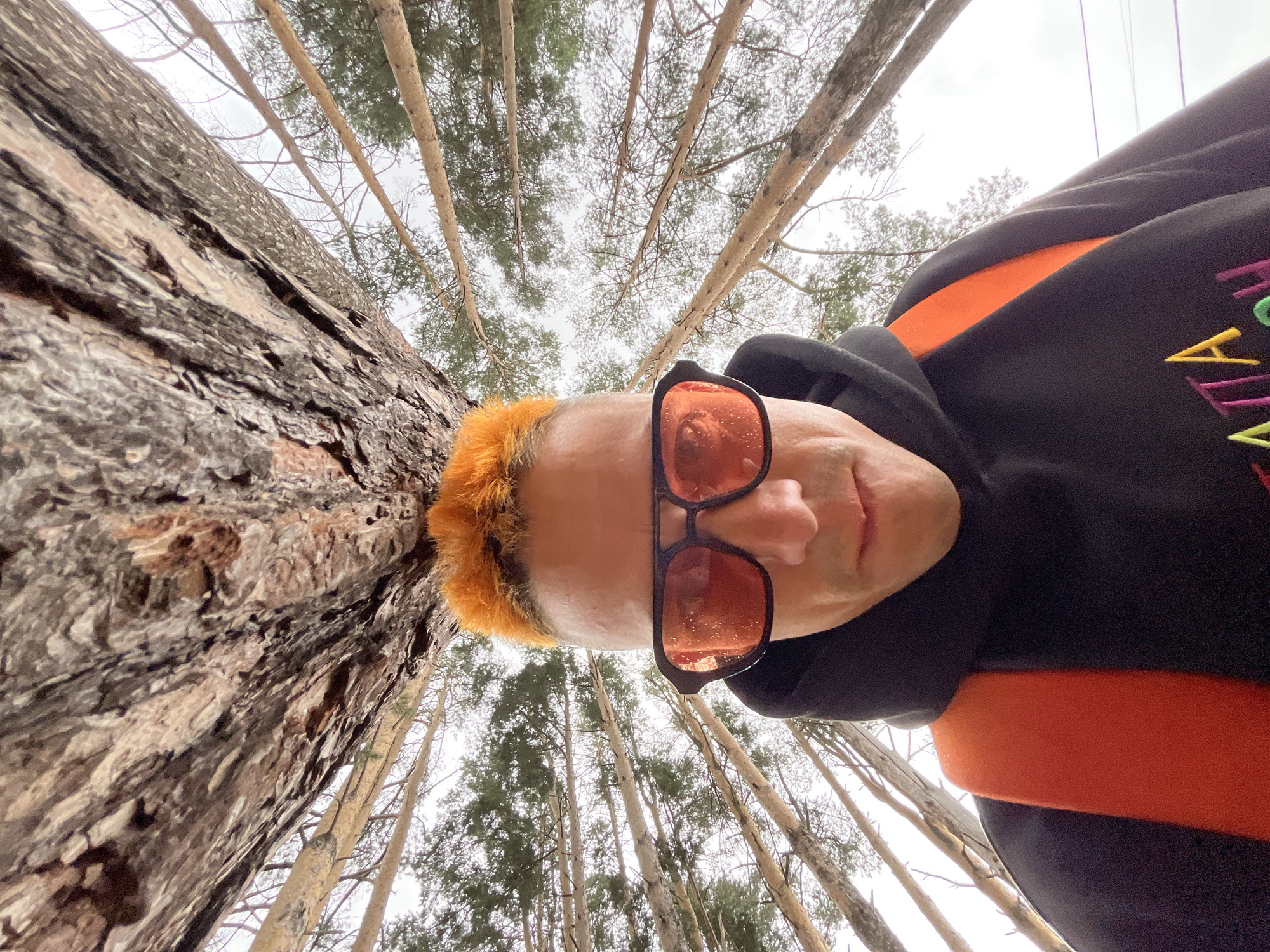 The image, taken from a low-angle perspective, features a person with brightly dyed orange hair and orange-tinted sunglasses. They are wearing a black hoodie with an orange stripe across the chest and colorful embroidered lettering on the sleeve. The person is positioned next to a large tree trunk with rough bark. The background consists of a forest with many tall pine trees. The sky is overcast. The scene appears to be an outdoor location, possibly a park or wooded area within or near the city of Chaikovsky, Russia.