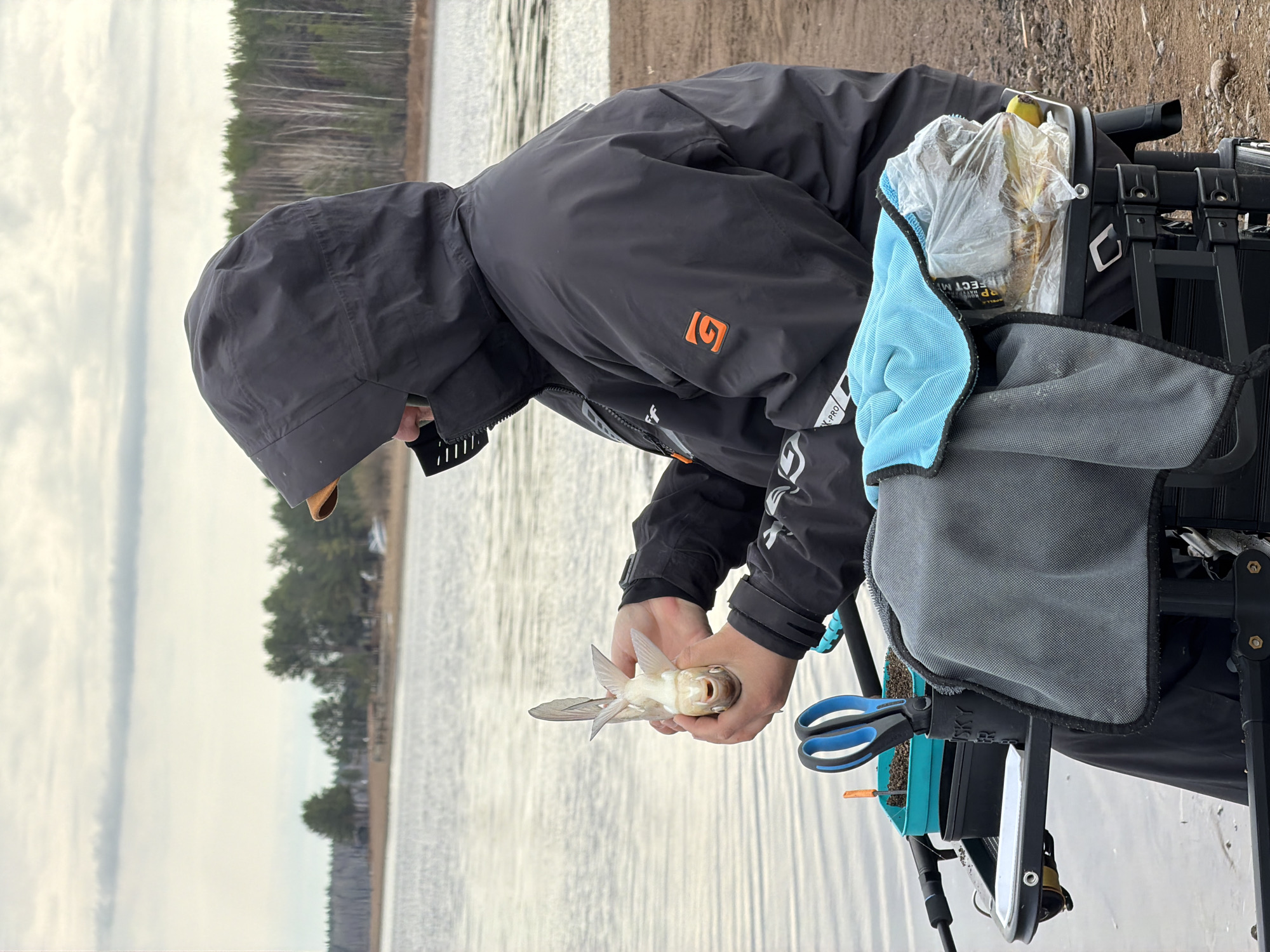 A person in a dark jacket with a hood is holding a fish in their hands. The person is standing near a body of water, possibly a lake or river, with trees in the background. The scene appears to be outdoors during daylight. The person is positioned next to a fishing setup, including a chair with various accessories and a bag of what looks like bananas. The location is near Chaykovsky, Russia, as indicated by the provided city association.