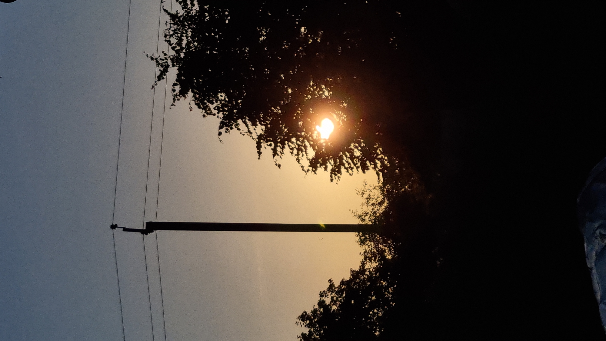 The image captures a silhouetted view of trees and power lines against a hazy, possibly smoggy sky, during what appears to be either sunrise or sunset given the warm, diffused light. The sun is partially obscured by the dense foliage of a tree, creating a bright, glowing orb in the center-right of the frame. The light filters through the leaves, casting a warm, golden hue on the sky.
In the foreground, a dark, horizontal pole, likely part of a utility structure, stretches across the image, with several power lines attached to it. The lines extend upwards and to the left, disappearing into the darker upper portion of the sky. The sky itself transitions from a light, pale blue on the left to a warm, yellowish-orange on the right, suggesting the sun's position.
The silhouette of the trees dominates the right side of the image, with their leaves creating an intricate, dark pattern against the brighter sky. On the far right edge of the frame, a portion of a dark, possibly blue, hooded jacket or bag is visible, suggesting the presence of a person capturing the scene. The overall mood is serene and atmospheric, with a touch of mystery due to the obscured sun and the silhouetted elements. No visible text is present in the image.