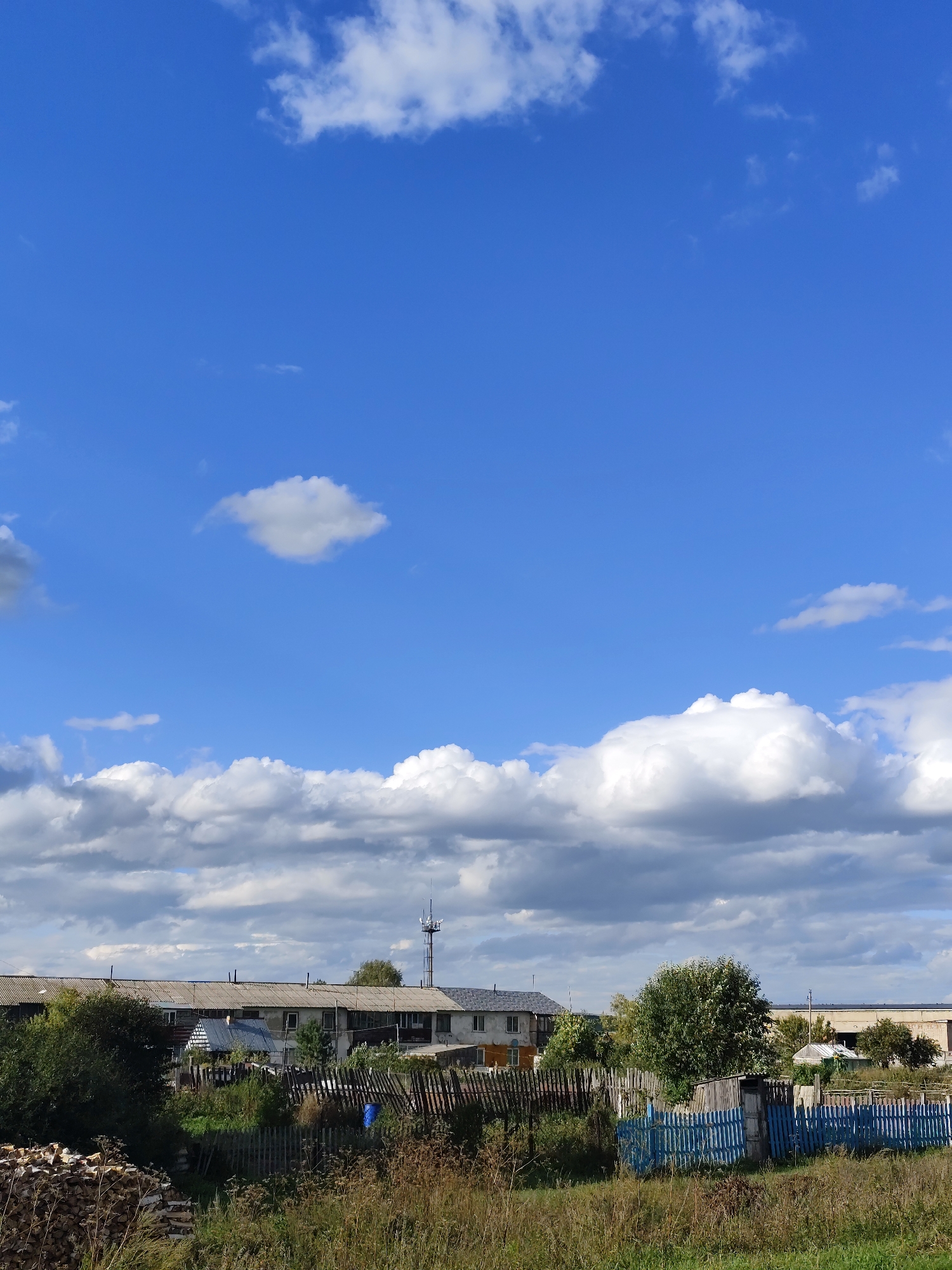 A low-angle, vertical photograph captures a rural scene under a bright blue sky with scattered white and gray clouds. In the foreground, dry grass and vegetation are visible, with a stack of firewood to the left and a rustic wooden fence, partly painted blue, running horizontally across the middle ground. Behind the fence, a row of aging, low-rise buildings with corrugated roofs stretches across the frame, interspersed with trees and greenery. A tall communications tower stands to the right of the buildings. In the far background, a large industrial building with a flat roof is visible. The image appears to depict a residential or agricultural area in the Berezovskaya Rural District of Kazakhstan.