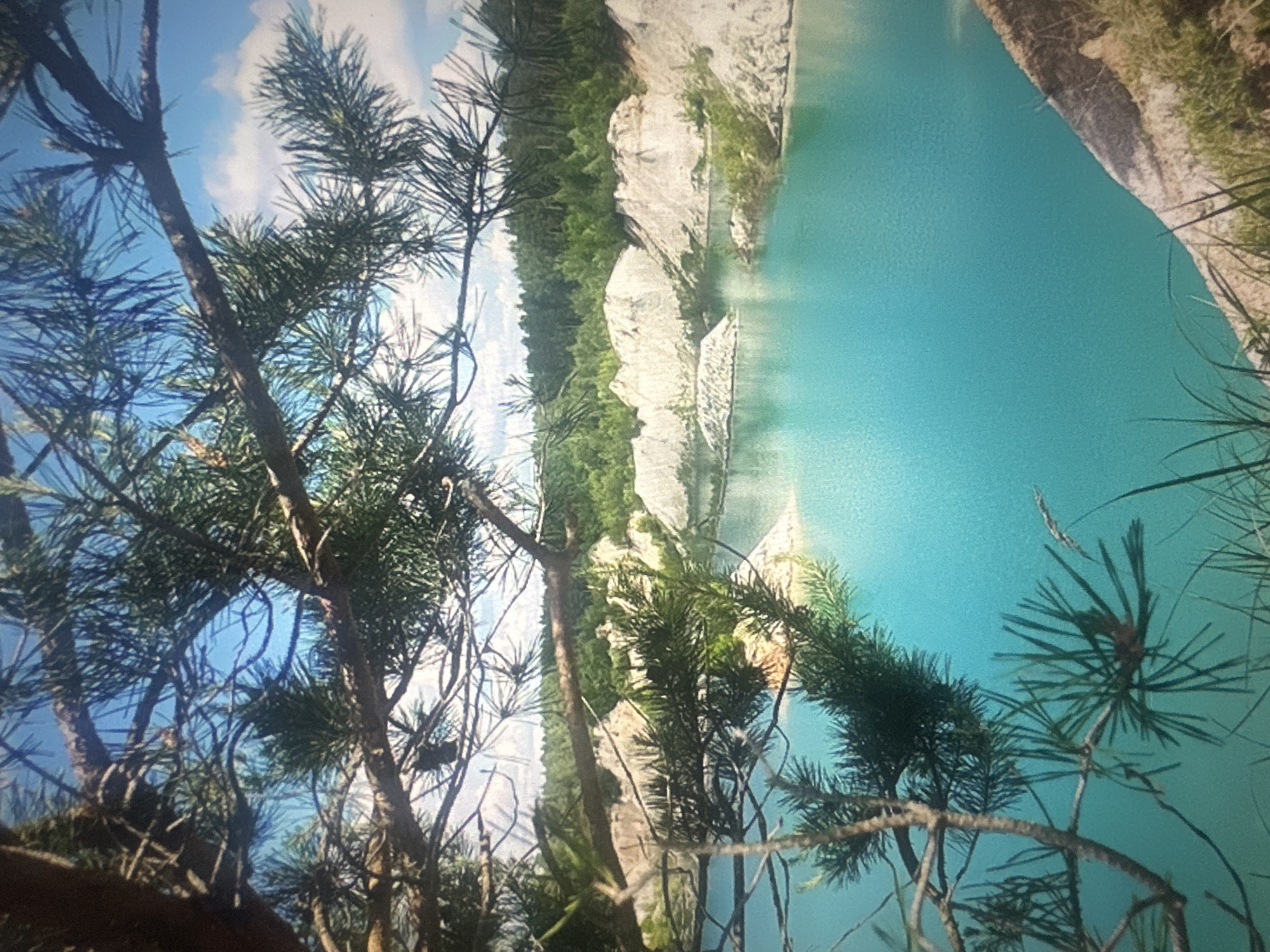 This image depicts a scenic view of a clear, turquoise lake surrounded by sandy, white cliffs and lush green trees under a bright blue sky with scattered clouds. In the foreground, pine branches with needles partially obscure the view of the lake and cliffs. The scene appears to be a natural landscape, possibly a quarry or a man-made lake with unique geological formations. There are no people or animals visible in the image. The lighting suggests it is daytime, likely a sunny day. The overall impression is one of tranquility and natural beauty.