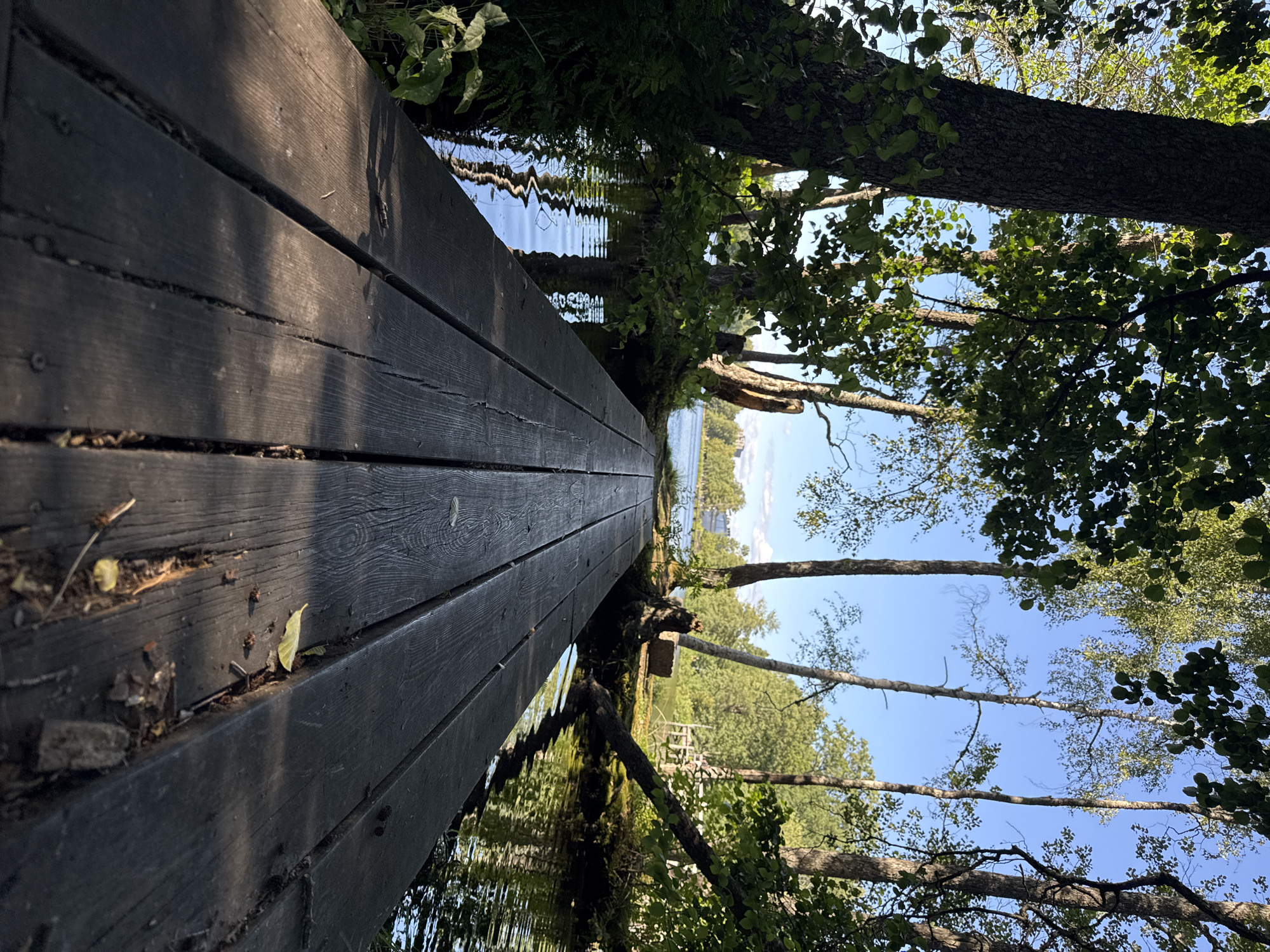 The image depicts a wooden boardwalk leading towards a body of water. The boardwalk is made of dark, weathered planks with visible grain and some cracks. Trees with green foliage line the sides of the boardwalk and the water's edge. The water is calm with reflections of the trees and sky. In the background, the water extends to a distant shore with more trees and a building or structure. The sky is blue with some scattered clouds. The lighting suggests it is daytime, likely with the sun casting shadows on the boardwalk. The scene appears to be in a natural, outdoor setting. This location is the boardwalk by the canal at Karlbergsgatan in Hallstahammar, Sweden.