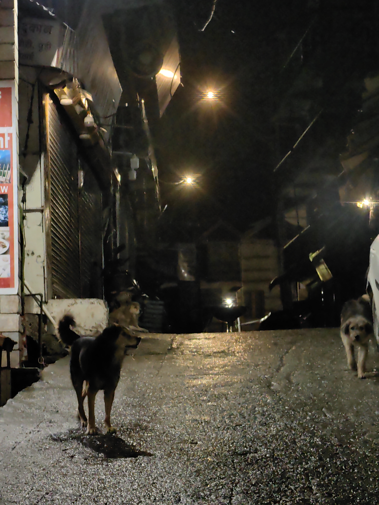 In Vashisht, India, a nighttime scene unfolds on a wet, reflective street. Two dogs are the primary subjects. A larger, dark-colored dog stands in the foreground, facing to the right with its tail curled. To the right and further back, a smaller, light-colored dog is walking towards the viewer. The street is illuminated by artificial lights, casting a warm glow on the wet asphalt, which reflects the lights from the surrounding buildings and overhead lamps. The background consists of shops with closed shutters, creating a dark and somewhat hazy atmosphere. A white vehicle is partially visible on the far right of the frame. The overall impression is one of a quiet street scene at night, made dynamic by the presence of the animals and the wet, shimmering ground.