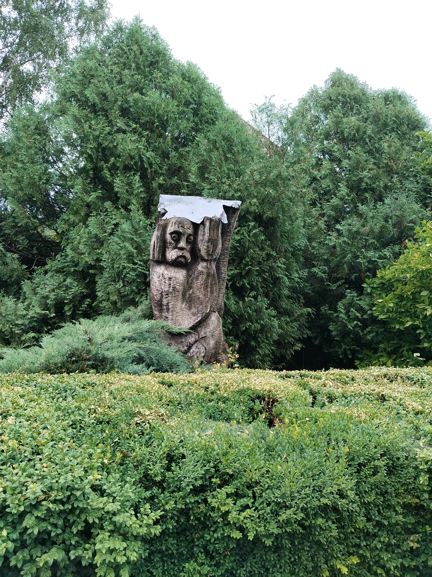 A carved wooden sculpture of a man's head and upper torso stands amidst lush green foliage in Ternopil, Ukraine. The sculpture, weathered and rustic, depicts a figure with a stern expression, a prominent beard, and deep-set eyes. A metallic sheet is affixed to the top of the sculpture, appearing to be a makeshift roof or a piece of the artwork. The sculpture is positioned behind a neatly trimmed hedge that forms the foreground of the image. Behind the sculpture, a dense backdrop of evergreen trees creates a natural setting. The lighting suggests an overcast day, with diffused natural light illuminating the scene.