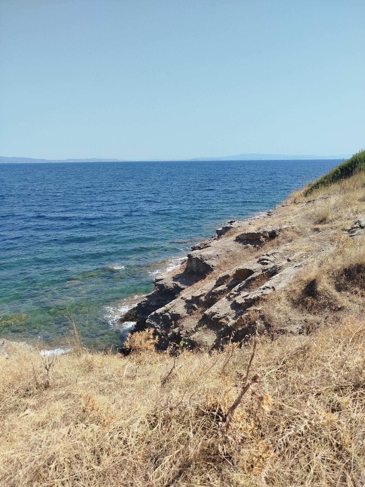 The image depicts a coastal scene in Sithonia Municipal Unit, Greece. The foreground is dominated by dry, yellow grass and rough, rocky terrain sloping down towards the sea. The sea is a deep blue, with patches of clear, turquoise water near the shore revealing submerged rocks. Waves gently break against the rocky coastline. In the distance, a thin, hazy strip of land or islands is visible on the horizon under a clear, pale blue sky. The vegetation on the higher ground to the right is lush and green. There are no people or animals visible in the image. The overall impression is one of a warm, dry, coastal environment.