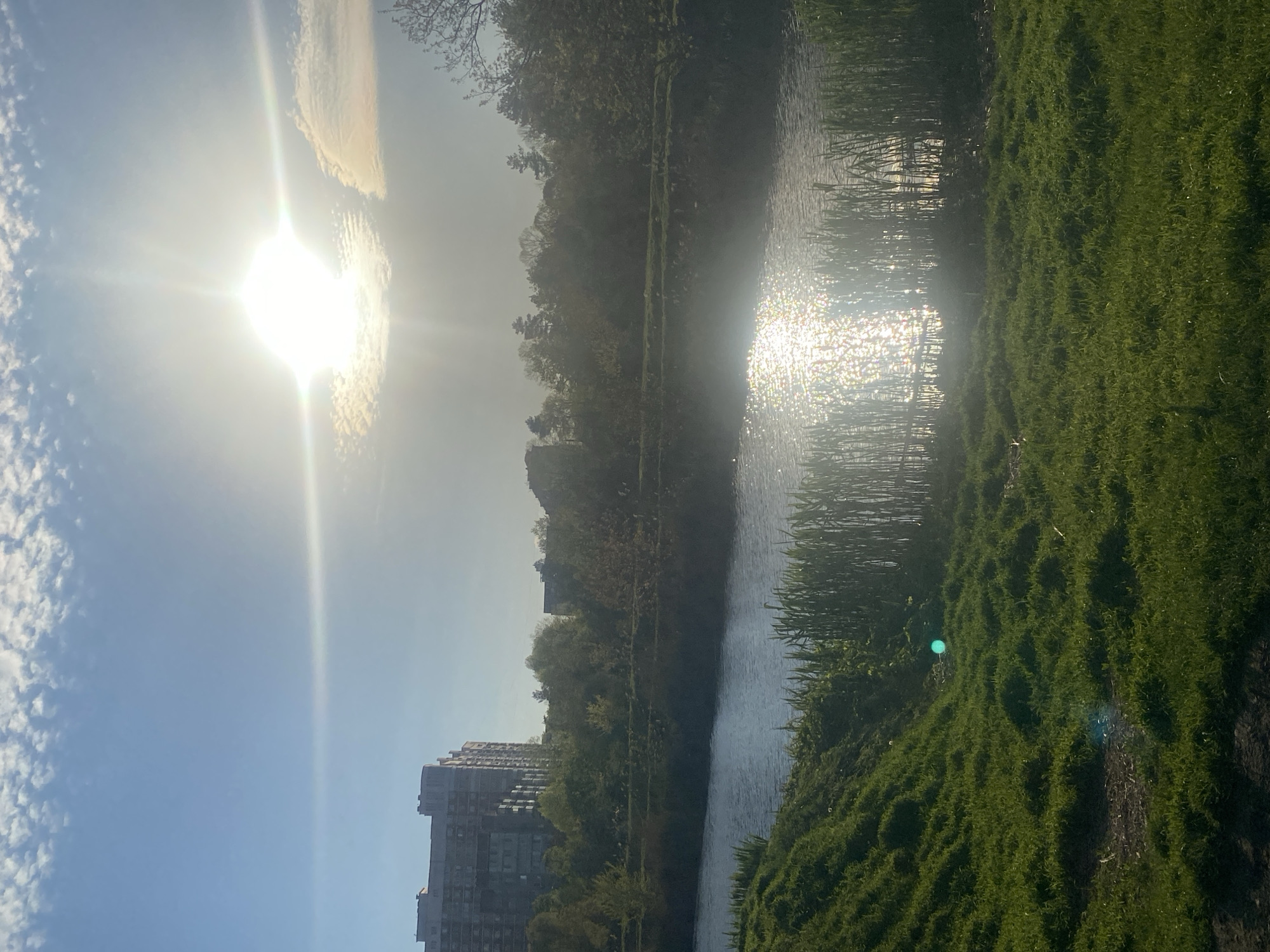 The image captures a sunlit scene alongside a body of water. The sun shines brightly in the upper left corner, partially obscured by clouds. The water surface reflects the sunlight, creating a shimmering effect. Lush green vegetation lines the edge of the water. In the distance, a building is visible amidst the trees. The location appears to be a park-like setting within a city, although the city and precise location are unknown.