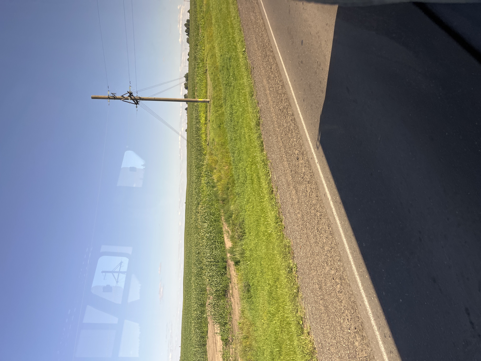 The image captures a rural landscape viewed through a window, likely from a vehicle. A vast, green cornfield stretches across the horizon under a clear blue sky dotted with a few wispy clouds. A single wooden utility pole with power lines stands prominently in the middle ground, connecting to other poles that recede into the distance. A gravel shoulder borders a paved road in the foreground, where the shadow of the vehicle creating the reflection is cast. The reflection in the window shows the interior of the vehicle, including what appears to be window frames and seating, superimposed over the outdoor scenery. The scene is characteristic of the countryside around Pastavy, Belarus, with its extensive agricultural fields and the ubiquitous presence of power infrastructure.