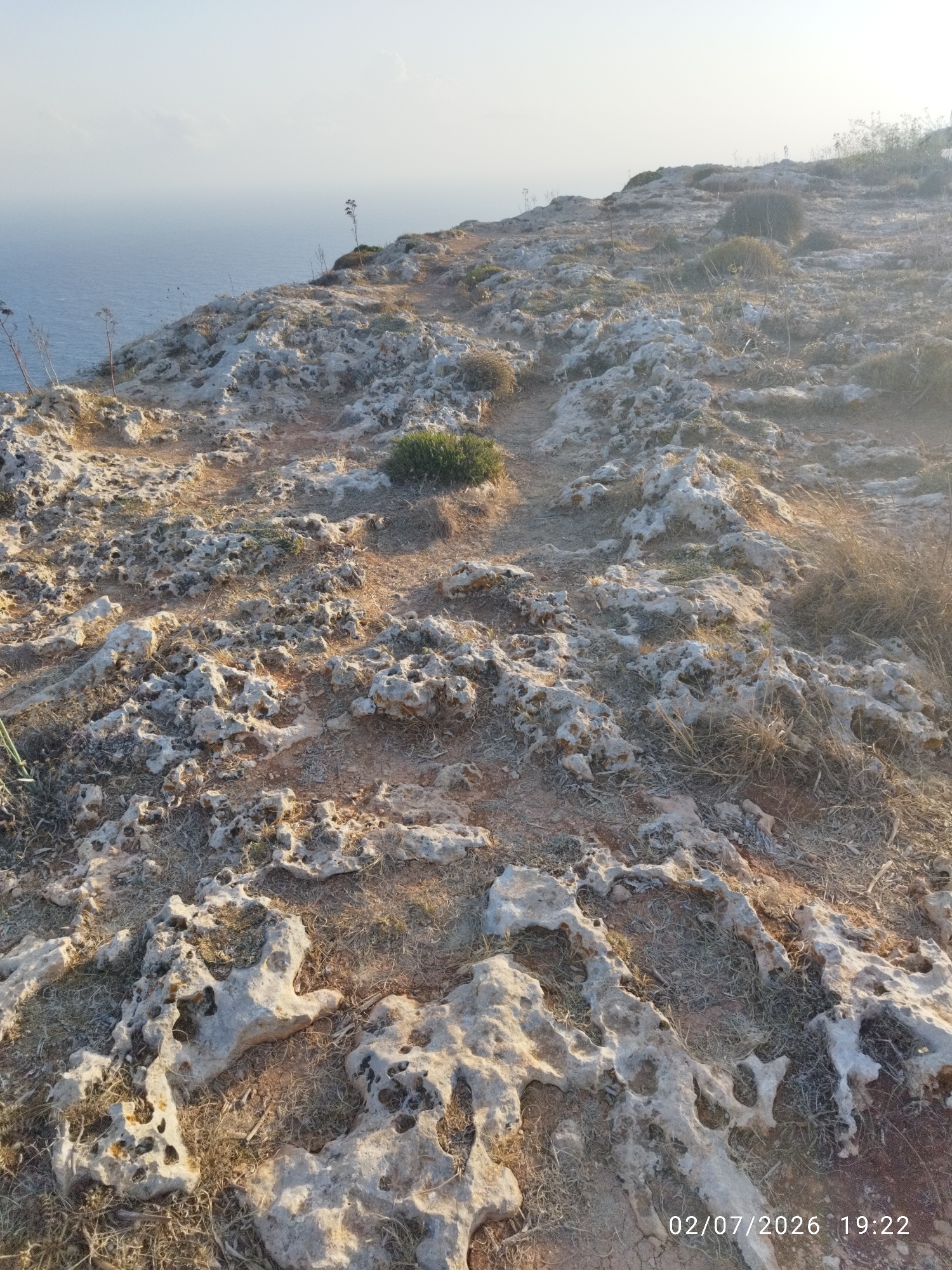 This media file depicts a rugged, rocky coastal landscape in Dingli, Malta. The foreground is dominated by porous, light-colored rocks with numerous holes and crevices, interspersed with dry grasses and patches of reddish-brown earth. A narrow dirt path winds through the terrain, suggesting it is a hiking or walking trail. In the background, the vast expanse of the Mediterranean Sea meets a hazy sky, with the horizon line barely discernible. A few sparse, dry plants dot the rocky slopes. The lighting suggests it is late afternoon or early evening, with the sun casting long shadows and creating a warm, golden glow. The atmosphere is peaceful and serene, characteristic of a natural coastal setting. Visible text in the bottom right corner reads "02/07/2026 19:22", indicating the date and time the photograph was taken.