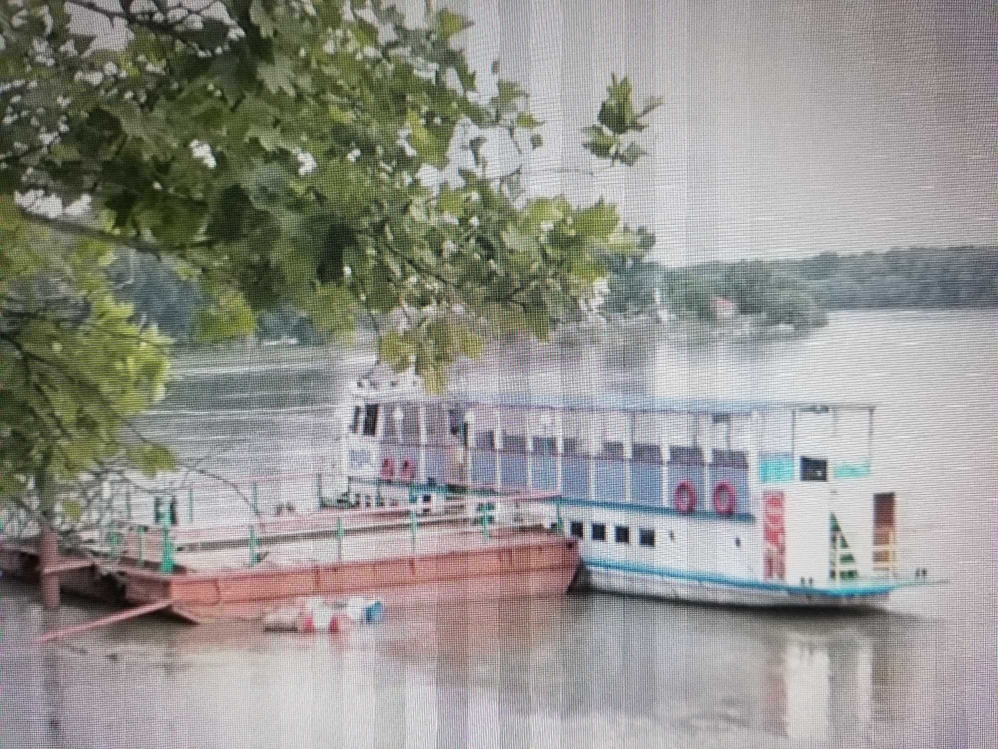 A wide shot captures two barges docked on a body of water, possibly a river, under an overcast sky. The barge in the foreground, with a reddish-brown hull, appears to be a floating dock or platform. A white passenger boat, with blue trim and a multi-story, enclosed upper deck, is moored to the side of the first barge. The passenger boat has numerous windows and what appear to be life preservers mounted on its exterior. Lush green foliage from a tree hangs over the left side of the image, partially obscuring the scene. In the background, a distant, tree-lined shore is visible, with faint signs of structures. The water's surface is rippled, reflecting the muted light. There are no people visible in the image. The scene does not depict any recognizable landmarks or specific features that would identify it as being located in Tiraspol, Moldova.