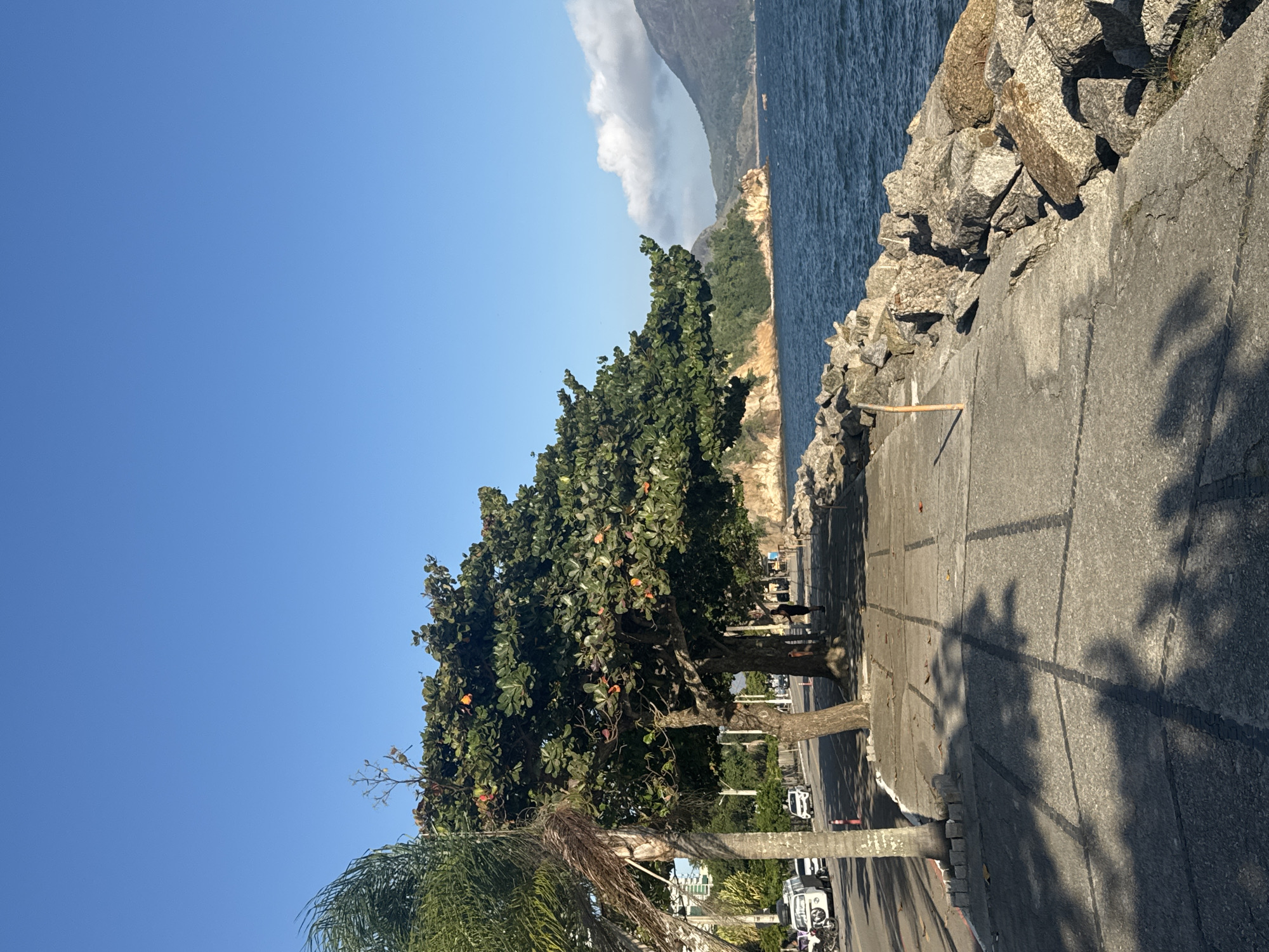 The image depicts a scenic promenade in Niterói, Brazil, likely along a coastline or bay. A clear blue sky dominates the upper portion of the frame. In the foreground, a paved pedestrian walkway runs alongside a seawall constructed of large, rough-hewn rocks. The water appears deep blue and slightly choppy.
To the left of the walkway, a paved road is visible with several parked cars, including a white van. Beyond the road, buildings and trees can be seen, suggesting an urban or semi-urban setting. Palm trees and large leafy trees with some orange fruit are situated along the edge of the promenade, casting shadows on the walkway.
In the middle ground, a few people are walking or standing on the promenade. One individual, wearing dark clothing, is standing near a tree. In the background, a lush green coastline with rocky outcrops and rolling hills under a bright sky completes the picturesque landscape. The lighting suggests it is daytime, possibly late morning or early afternoon.