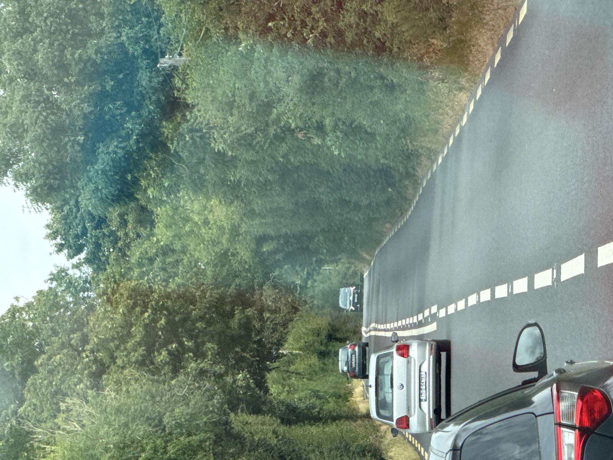 The image depicts a road scene in the city of New Ross Municipal District, Ireland. A grey Volkswagen hatchback is in the foreground on the left, facing away from the camera, on a paved road lined with white dashed lines on both sides. Ahead of this vehicle, also on the road, is another grey hatchback, and further ahead, a dark-colored hatchback. The road is bordered by dense green trees and hedges on both sides, forming a tunnel-like effect. The sky is overcast and a faint glare is visible on the right side of the image. There are no people visible in the frame.