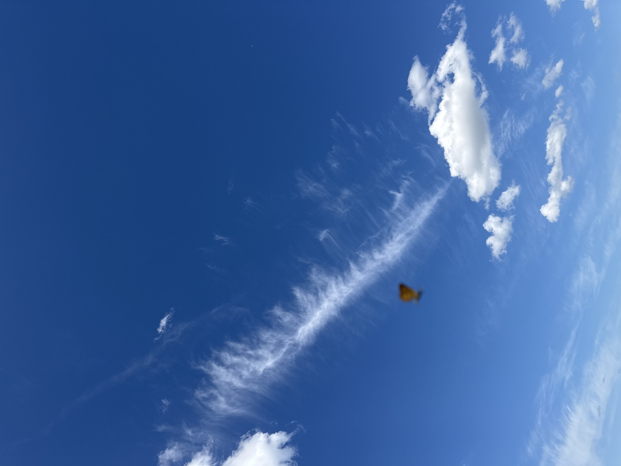 A bright blue sky is filled with scattered white clouds, some wispy and thin, others larger and more substantial. A faint, horizontal streak of white cloud stretches across the middle of the frame, resembling a delicate brushstroke. In the upper right quadrant of the image, a blurred, golden-yellow object is visible, appearing to be a butterfly in flight. The overall scene suggests a clear, sunny day with a gentle breeze, as indicated by the movement of the clouds. The composition is dominated by the vast expanse of the sky, evoking a sense of openness and freedom. There is no visible text in the image.
