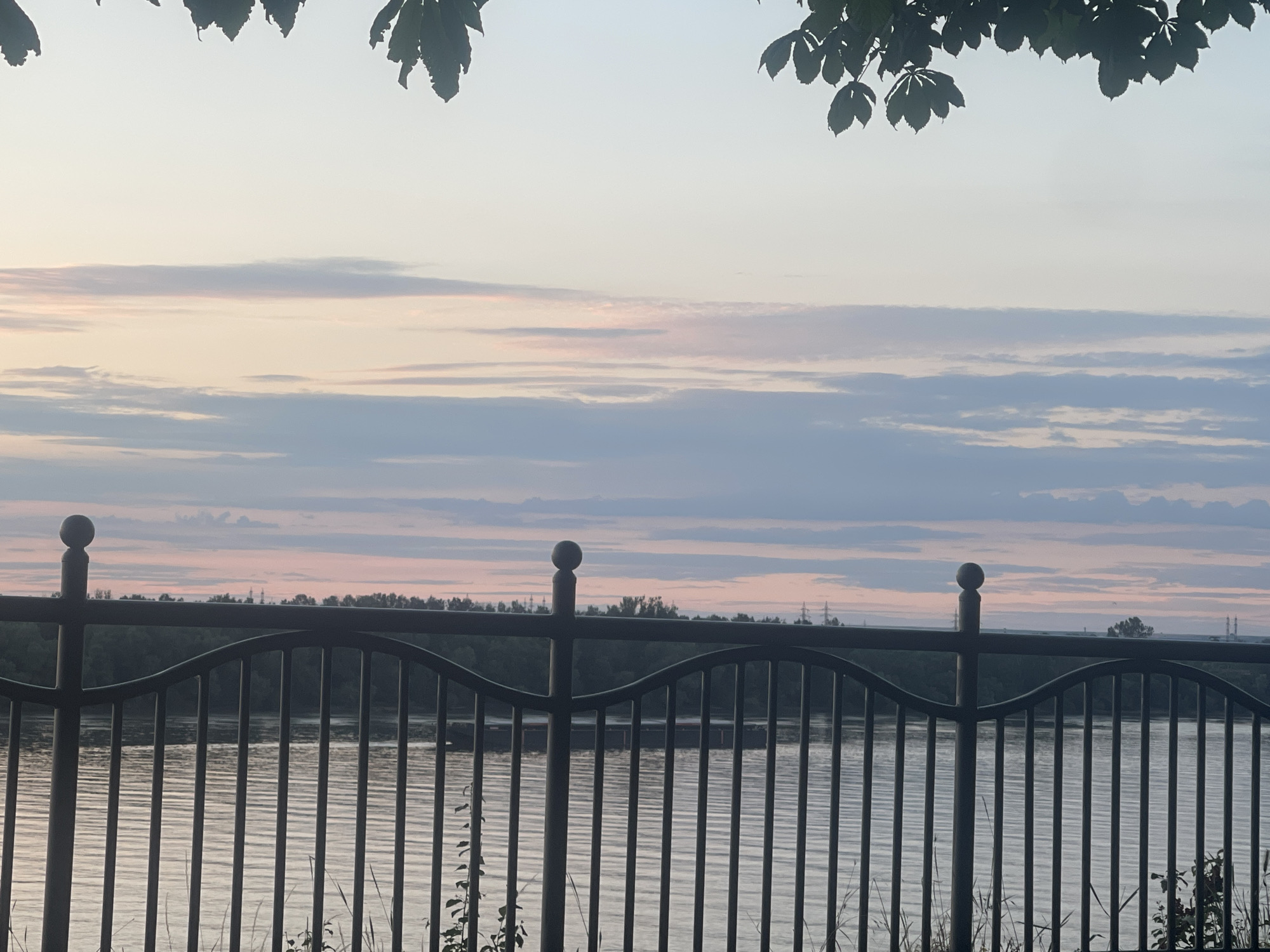 The image depicts a serene sunset or sunrise scene over a body of water, viewed from behind a dark metal fence. The sky is painted with soft hues of pink, blue, and white, indicating a twilight setting. wispy clouds are scattered across the horizon.
In the foreground, a dark metal fence with ornamental posts and a curved top rail runs horizontally across the frame. The fence is partially obscured by some tall green grass and small plants growing at its base.
Beyond the fence, a wide river or lake reflects the colors of the sky, creating a shimmering surface. The opposite bank of the water is lined with a dense band of dark green trees, suggesting a natural landscape or park. In the distance, silhouetted against the sky, are a few man-made structures, possibly power lines or industrial elements, hinting at the proximity of civilization.
The overall impression is one of tranquility and natural beauty, with a slight urban edge. The specific location of Ruse, Bulgaria, is mentioned, which is known for its Danube River embankment, a place that could match this description with its waterfront views and park areas.