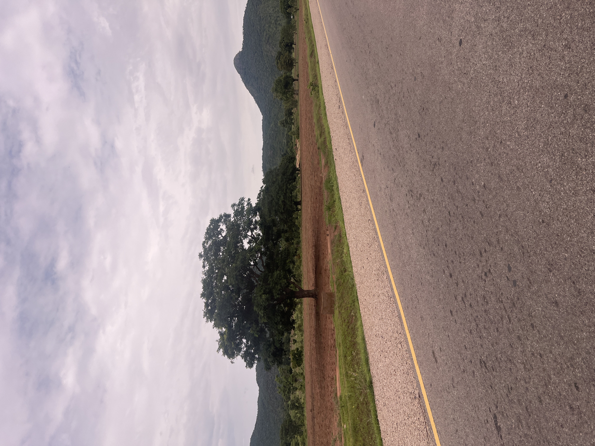 The image depicts a rural road in Minda, Nigeria, with a paved asphalt surface and a distinct yellow line marking the edge. The road runs diagonally across the frame from the lower right to the upper left, suggesting movement or a vantage point from a vehicle. To the left of the road, there is a strip of gravel, followed by a band of dry, reddish-brown earth that appears to be cultivated land or fallow fields. Beyond this, a vibrant green grassy verge separates the road from the landscape.
Dominating the left side of the image is a lush, large tree with a full canopy, standing as a prominent feature in the foreground. Further in the distance, a series of rolling hills or mountains covered in dense green vegetation form a dramatic backdrop. The sky is overcast with soft, diffused light, indicating a cloudy day, possibly early morning or late afternoon, though the exact time is not definitively discernible. The overall scene evokes a sense of natural beauty and the tranquility of a less urbanized environment. There is no visible text in the image.