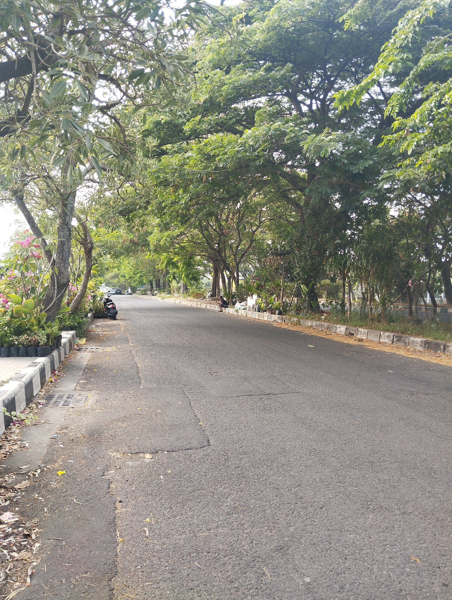This image depicts a street scene in Semambung, Indonesia, likely in the morning or late afternoon based on the light. The street is paved with asphalt and has a sidewalk on the left side. The sidewalk is lined with a row of potted plants and decorative landscaping. A black motorcycle is parked on the sidewalk. Further down the street, several vehicles are visible, including cars and more motorcycles. People are present, with one individual sitting on a bench on the right side of the road, and others are walking or standing in the distance. The street is bordered by lush green trees with dense foliage on both sides, creating a canopy effect over the road. The environment appears to be a residential or park area with well-maintained vegetation.