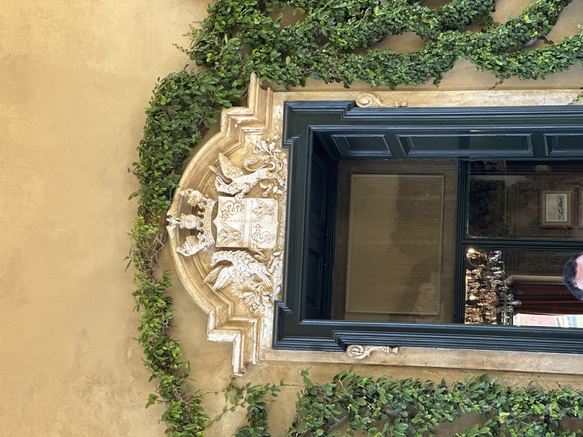 This image captures a detail of an exterior wall in Tremezzina, Italy. The wall is a warm, sandy yellow, textured and slightly weathered. A dark green, ornate window frame with detailed moldings is set into the wall. To the left of the window, a circular, sculpted emblem adorns the wall. This emblem features intricate white relief carvings, including what appears to be a heraldic crest with a book at its center, flanked by mythical creatures that resemble griffins or winged lions. The emblem is surrounded by a decorative, layered frame.
Green ivy or a similar vine with small, dense leaves cascades over and around the window and the sculpted emblem, adding a touch of nature to the architecture. The ivy is lush and vibrant, suggesting a pleasant, possibly mild climate.
The window itself is reflective, showing a distorted view of an interior space. We can discern reflections of what looks like a chandelier with multiple crystals, and possibly framed artwork on a wall within. The light suggests it might be daytime, but the interior reflections are somewhat dim, perhaps indicating the room is lit by artificial light or is in shadow.
The image is a close-up shot, focusing on the architectural details and the interplay of the vine with the stonework and window. There is no visible text in the image. The overall impression is one of historical charm and rustic elegance, typical of Italian villas or buildings in scenic locations.
