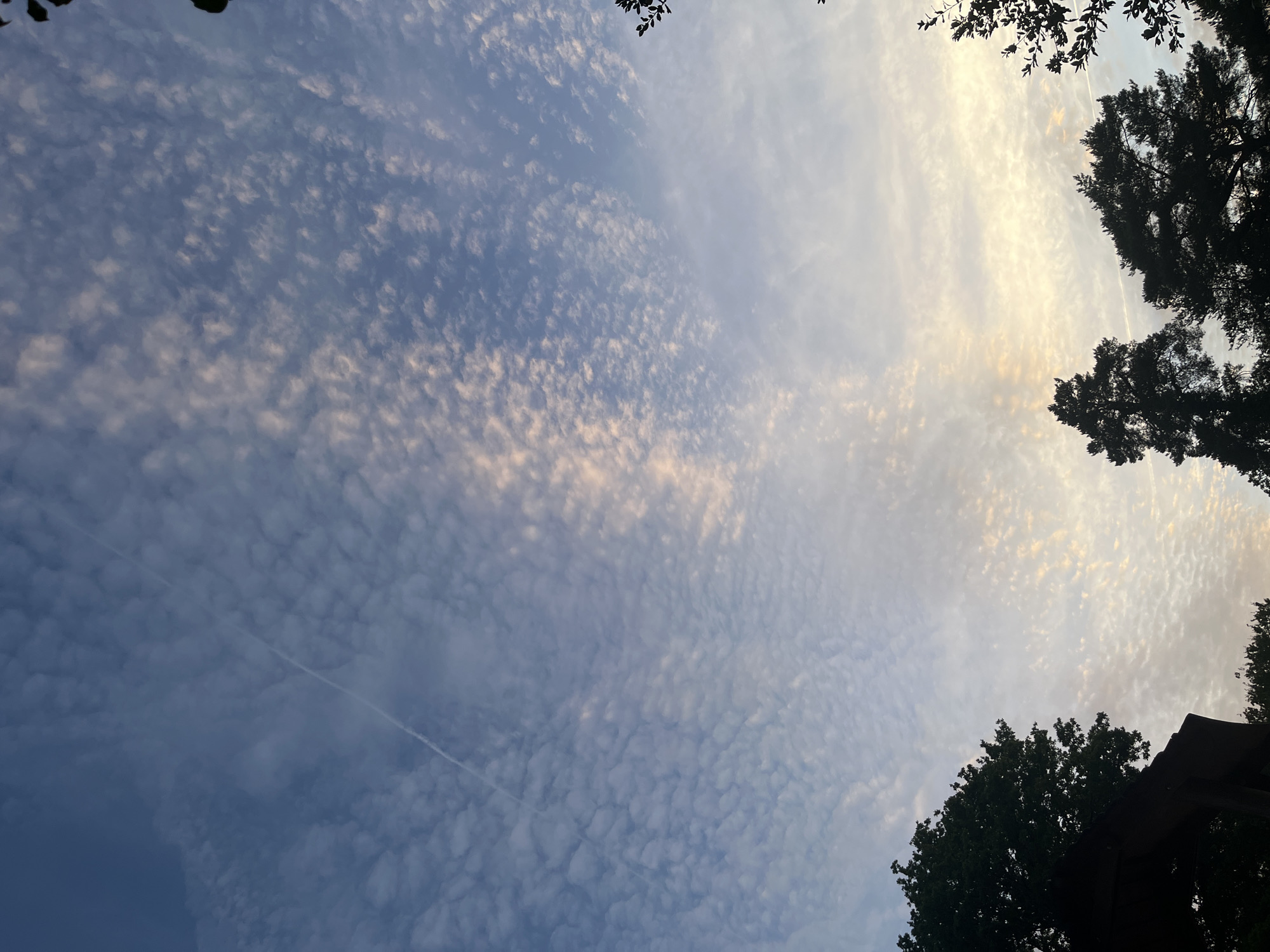 The image shows a sky filled with small, puffy clouds, known as cumulus humilis or "fair weather" clouds. The clouds are predominantly white, with some areas tinged with pale yellow and pink, indicating the light of either sunrise or sunset. A faint contrail, likely from an aircraft, is visible as a thin white line stretching diagonally across the upper left portion of the sky. Silhouetted against the sky in the lower part of the image are the dark shapes of trees and what appears to be a dark, angled structure, possibly part of a building or shelter. The overall scene depicts a calm, atmospheric sky. The location is identified as Sonchamp, France.