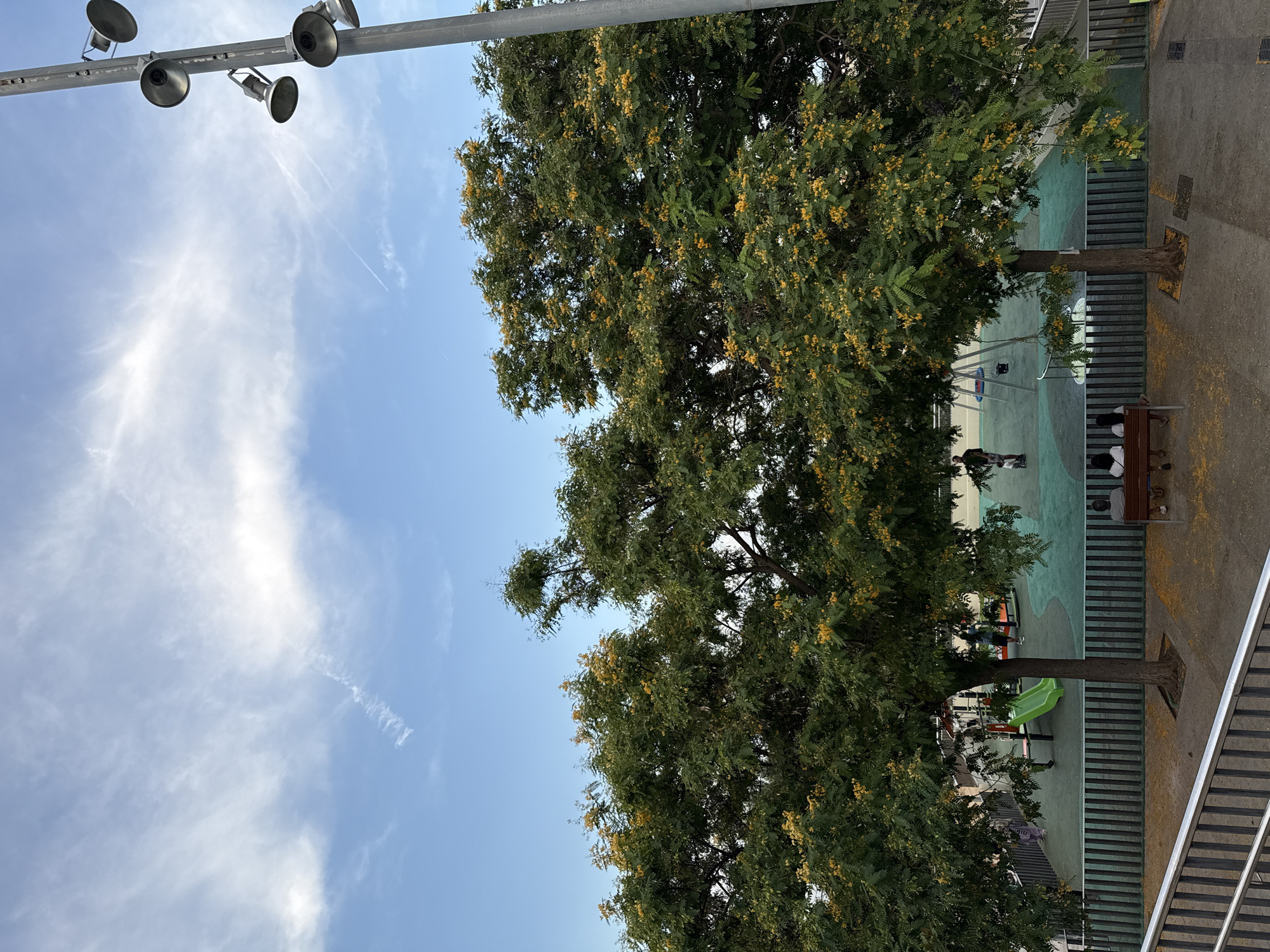 The image depicts an outdoor scene on a bright, sunny day, likely in the late afternoon given the angle of the light. The sky is a clear blue with some wispy white clouds and a faint contrail from an aircraft. In the foreground, a large, leafy tree with small yellow flowers dominates the frame. The tree's branches extend across much of the image, casting dappled shadows.
Below the tree, a public playground or recreational area is visible. It has a green and turquoise painted surface, a metal fence, and various playground equipment, including what appears to be a green slide and a swing set. Several people are present in the playground. One person is walking with a child or a small dog. Another group of people are sitting on a bench in the lower right quadrant of the image. A metal railing runs along the right side of the image, suggesting an elevated walkway or a structural element of the outdoor space.
Above the tree and sky, a metal bar with several spotlights is attached to a pole, indicating that this area is likely lit for evening use. The overall impression is one of a lively public space, perhaps a park or a schoolyard, utilized by people enjoying the pleasant weather. The location is identified as Barcelona, Spain, which suggests a Mediterranean climate and urban setting. No visible text is present in the image.