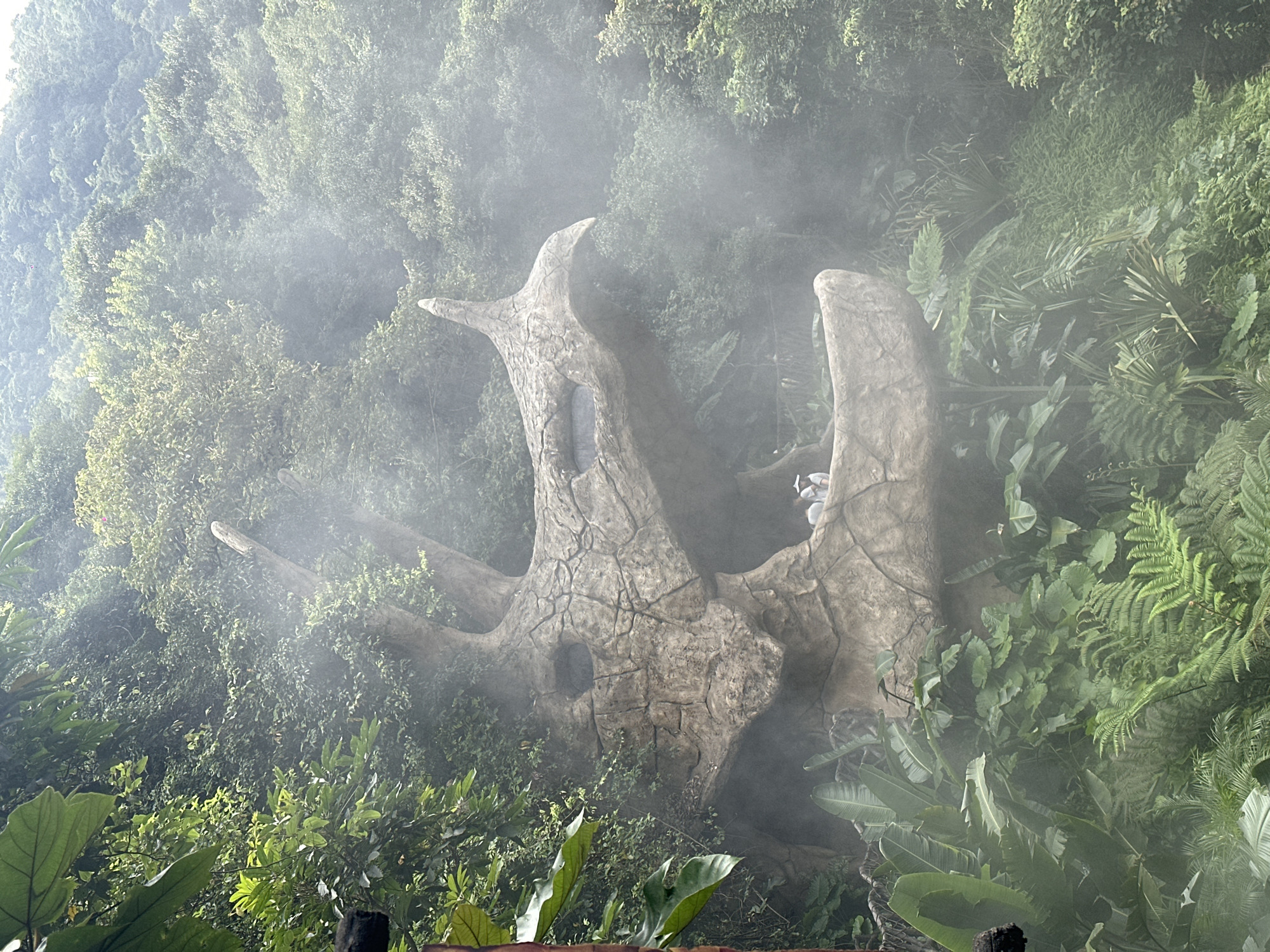 The image shows a rock formation that resembles a dragon's head, located in the city of Qingyuan, China. The formation is surrounded by lush green vegetation and mist, creating an atmospheric and somewhat mystical scene. Two individuals, appearing to be tourists, are visible in the foreground, near the base of the dragon's head. One person is wearing a white hat. The dragon's head is intricately sculpted, with visible cracks and textures that give it a natural, aged appearance. The eyes of the dragon appear to be carved out openings. The surrounding environment is dense with various types of plants, including large-leafed plants and ferns, indicative of a humid climate. The mist adds a diffused quality to the light, softening the overall image. The rock formation appears to be part of a larger landscape, with more trees and hills visible in the background.