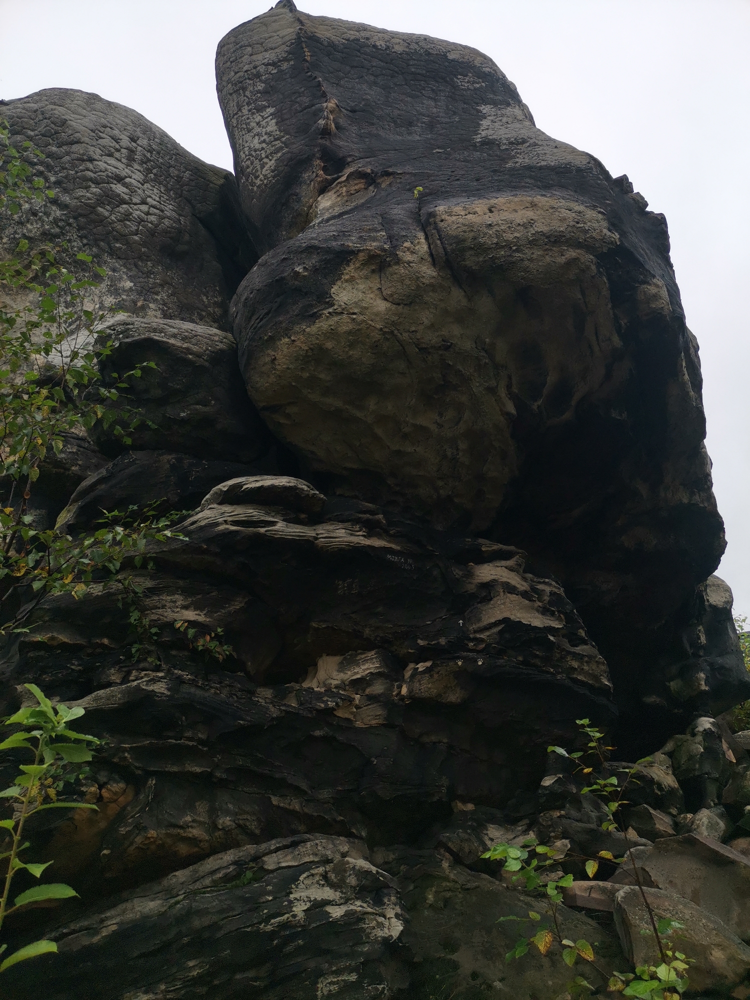 The image displays a large rock formation, possibly a sandstone cliff, with a textured and weathered surface. The rock is predominantly dark grey and brown, with lighter beige sections and visible strata. There are small green plants growing from crevices and at the base of the formation. The sky above is overcast and light grey. The scene appears to be outdoors, in a natural environment. There are no people or animals visible. On the rock face, there are some markings: "MONTA VR 2003" is written in white, and below it, there is an arrow pointing upwards, followed by two paw prints. The location is specified as the city of Gubakha, Russia.