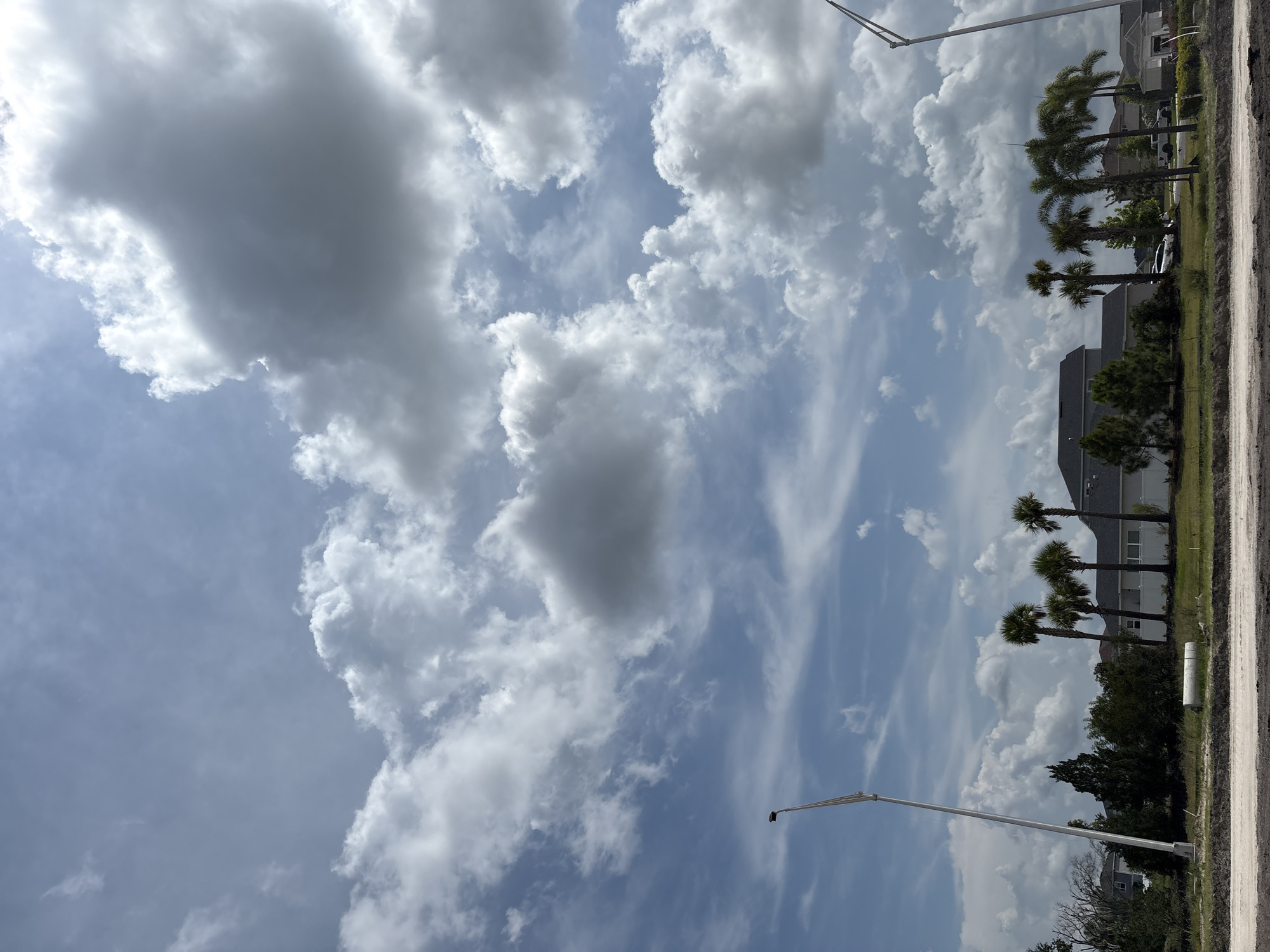 This is a vertical, eye-level, medium shot of a cloudy sky over a suburban area. The image is dominated by a dynamic sky filled with a variety of clouds, ranging from large, billowy cumulus clouds to wispy cirrus formations. The clouds are a mix of bright white and darker grays, indicating varying thicknesses and light conditions.
In the lower portion of the image, a row of palm trees and other greenery line a street. Behind the trees, several houses with dark roofs and light-colored siding are visible. The architecture suggests a residential neighborhood, possibly in a warm climate due to the palm trees.
A tall, white lamppost or flagpole extends from the bottom left corner upwards into the sky. Another similar structure is partially visible at the top right, indicating the presence of street lighting or similar infrastructure. The ground in the foreground on the right appears to be unpaved and sandy, possibly a construction site or a dirt road.
The lighting suggests it is daytime, with the sun likely behind the clouds, creating diffuse illumination and casting soft shadows. The weather appears to be partly cloudy, with potential for rain given the dark storm clouds. The overall mood is calm and serene, with a focus on the natural elements of the sky and the man-made structures of a residential area. There is no visible text in the image. The location context is Parrish, United States.