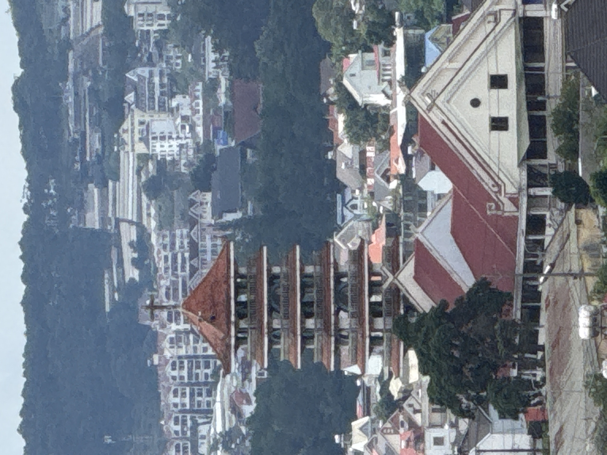 The image displays a panoramic view of Lâm Viên - Đà Lạt, Vietnam, dominated by a distinct pagoda-like structure with a red, multi-tiered roof. The pagoda is centrally located, flanked by a lush green forest on the hill in the background and numerous buildings with red roofs in the foreground and middle ground. These buildings appear to be residential or commercial, with a mixture of architectural styles, suggesting a dense urban area nestled within a hilly landscape. The sky is overcast, casting a diffused light over the scene. A prominent tree with dense foliage is visible to the left of the pagoda. The overall impression is of a vibrant city built into a natural, verdant setting.