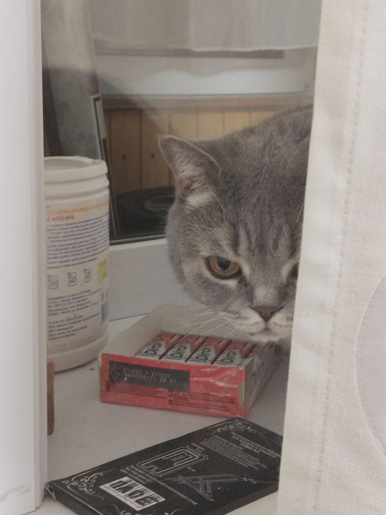 The scene depicts a close-up, indoor view featuring a grey cat with amber eyes peering from behind a white curtain. The cat is positioned on a surface next to various objects: a white plastic container with Russian text, a partially visible red box containing what appears to be "Diro" brand products, and a black card with white printed details. The surroundings suggest a window sill or similar ledge, given the possible light source and obscured background.