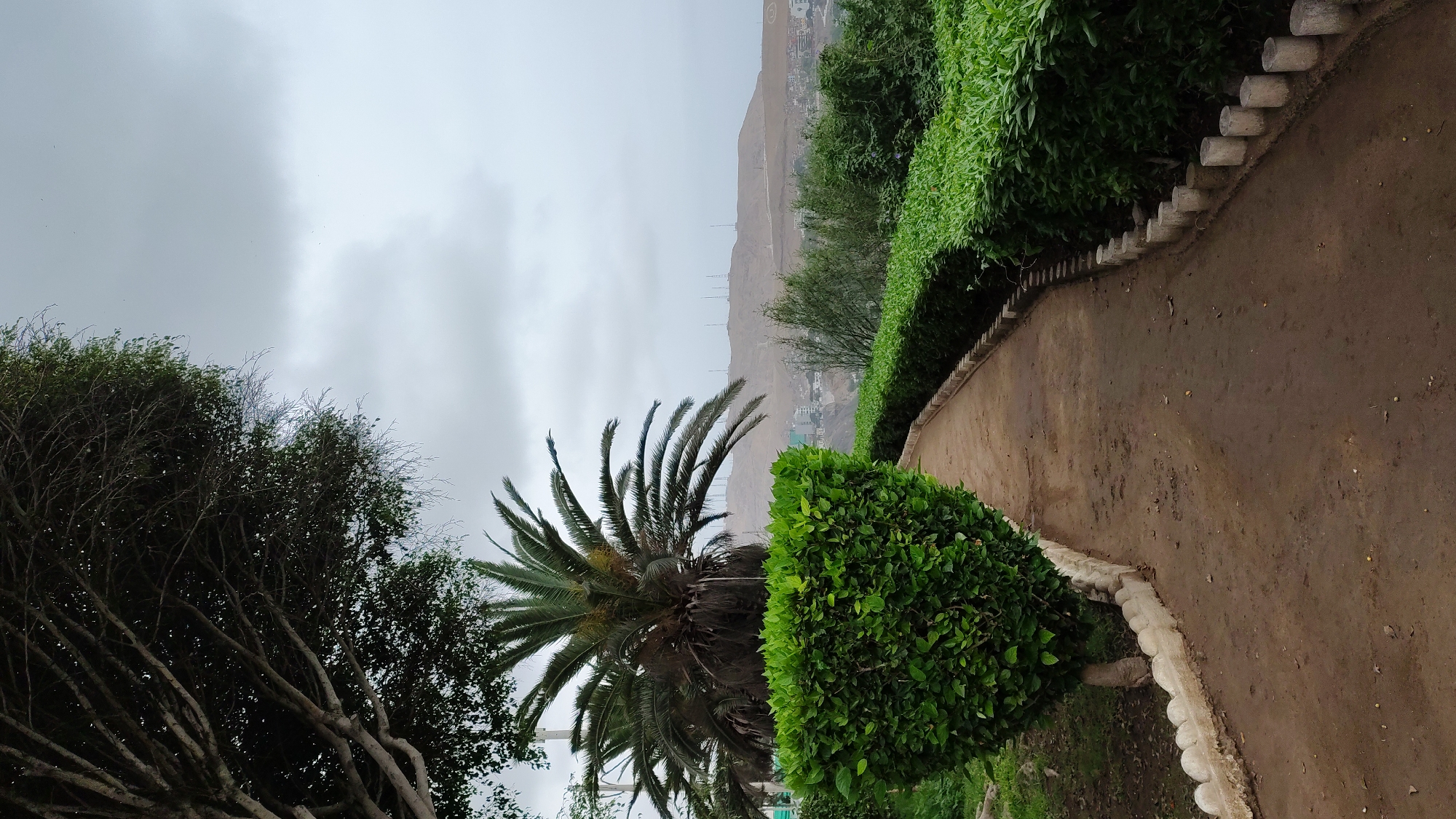 The image depicts an outdoor scene in Barranco, Peru, under an overcast sky. A dirt pathway curves through a park-like setting, bordered by manicured green hedges and a low wall constructed of rough-hewn logs. To the left of the path, a large palm tree stands prominently, its fronds reaching upwards. Beyond the palm tree, a dense, dark-leafed tree with visible branches dominates the left side of the frame. In the background, a city or town is nestled at the base of a barren, mountainous hillside, with numerous radio towers or similar structures dotting the slope. The weather appears to be gloomy or hazy, contributing to a muted color palette. There is no visible text in the image. The scene suggests a quiet, possibly damp, day in a public park or garden.