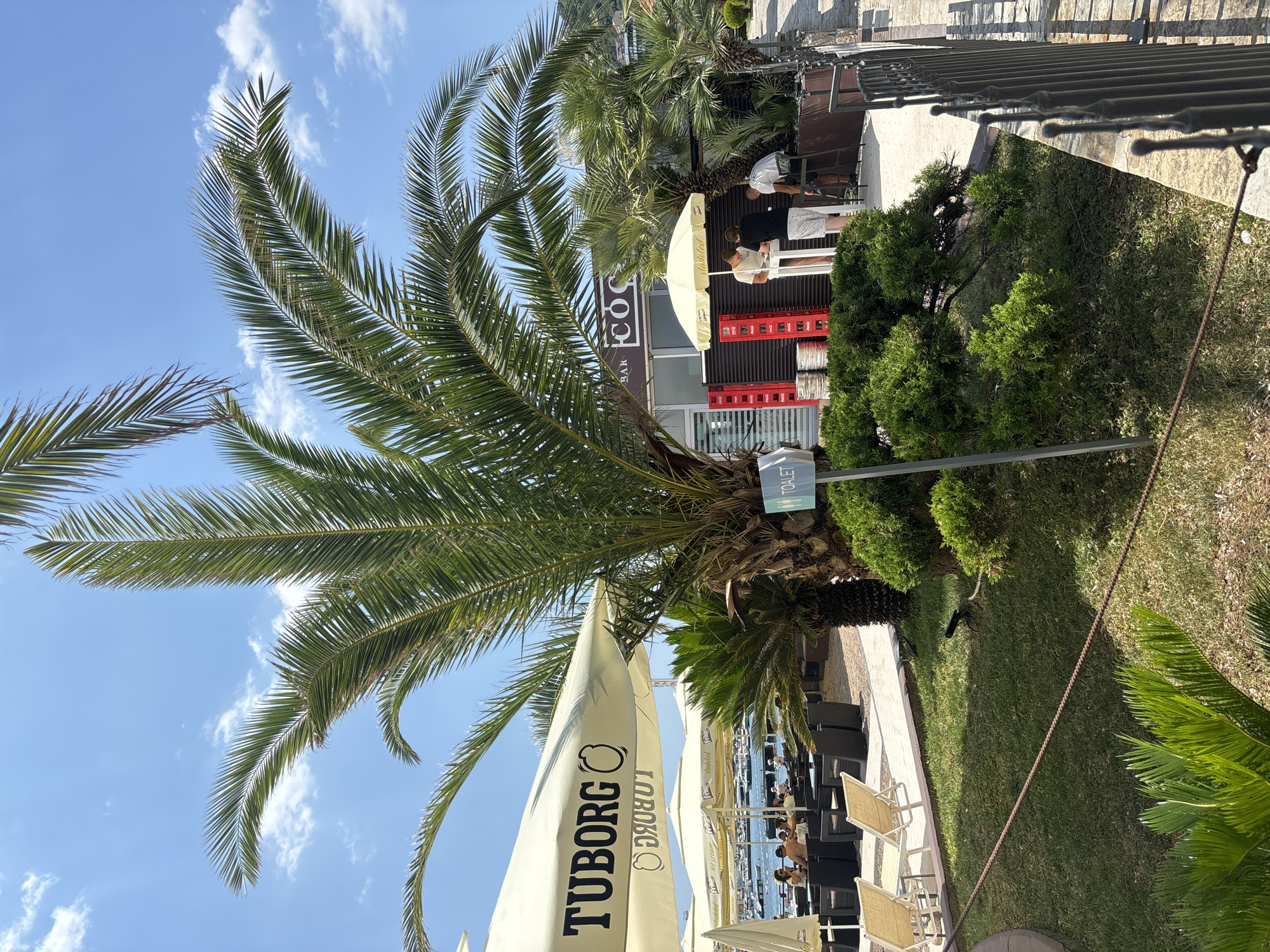 This is a photograph of a beachside establishment in Budva, Montenegro, under a bright blue sky with sparse clouds. A large palm tree dominates the foreground, its fronds casting shadows. To the left, a large beige umbrella with "TUBORG" printed on it provides shade for an outdoor seating area. Several tables with black chairs are arranged on a sandy surface. In the background, a bar or kiosk with a white awning and the word "COCK" visible on its facade is situated behind a display of red crates and metal kegs. Three individuals are visible near the kiosk, with one appearing to be interacting with the others. A sign with an arrow and the word "TOALET" indicates the direction of the restrooms. A black metal fence runs along the right side of the image, bordering a paved walkway. The sea and boats are visible in the distance, suggesting a coastal location.