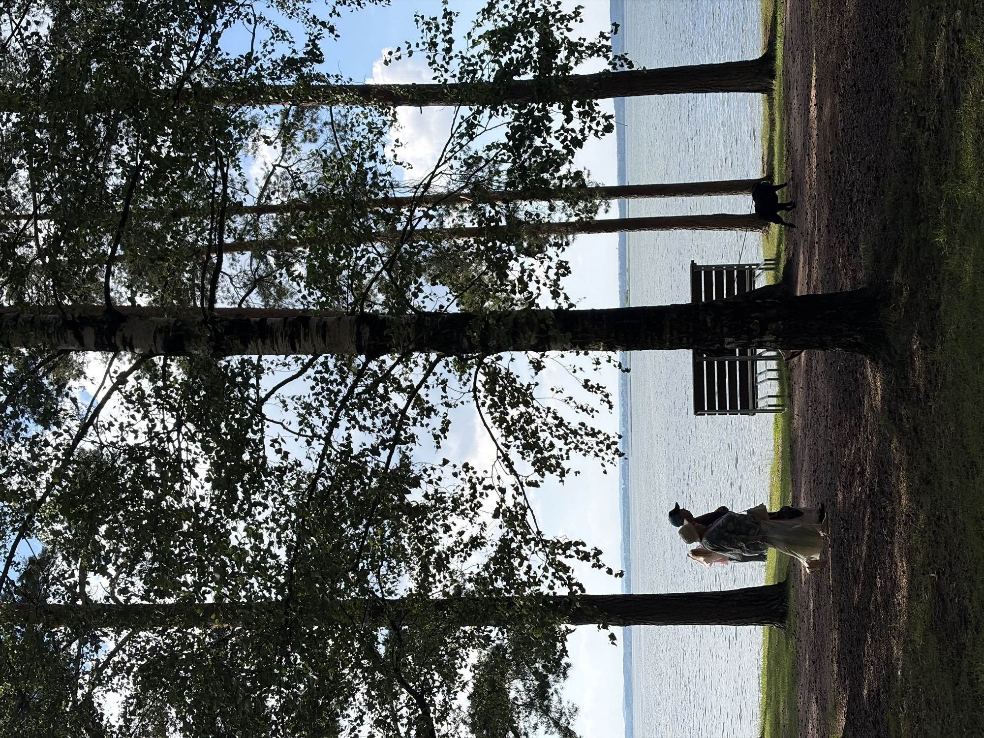 The image depicts a serene lakeside scene in the Ждановіцкі сельскі Савет, Belarus. In the foreground, several trees with lush green foliage cast dappled shadows on a dirt path. A paved walkway runs alongside the lake, and a dark-colored park bench with a wooden slatted seat and backrest is visible. Two individuals, a woman in a light-colored dress and a man wearing a dark cap, walk along the path, with the woman's arm appearing to be linked with the man's. Further back, another person is partially visible. A small black dog is walking on a leash near the bench. The lake stretches across the middle ground, its surface calm and reflecting the light blue sky with scattered white clouds. The background features a distant shoreline with trees. The overall atmosphere is peaceful and suggests a leisurely stroll by the water.