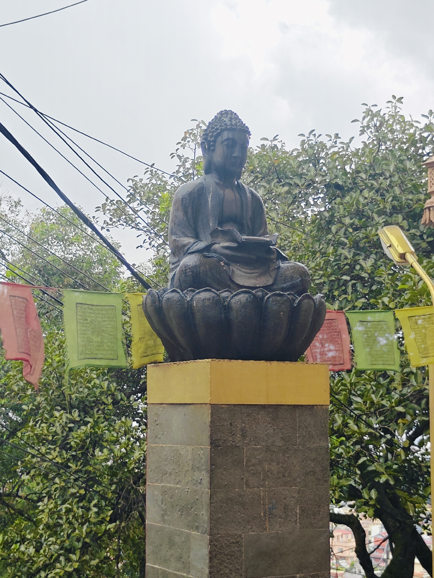 The image captures a Buddha statue in Kirtipur, Nepal, set against a backdrop of lush green trees and a cloudy sky. The statue, seated on a lotus pedestal, is made of dark stone and depicts the Buddha in a meditative pose, holding a book. The pedestal itself rests on a grey stone column, topped with a golden decorative element. Several prayer flags, in vibrant colors like pink, green, and yellow, are strung across the scene, adding a touch of cultural significance. Power lines are visible above, crisscrossing the sky, and a streetlamp on a golden pole stands to the right of the statue. In the background, glimpses of residential buildings suggest the urban environment of Kirtipur. The overall atmosphere is serene and spiritual, with the natural elements and religious symbols creating a harmonious composition.