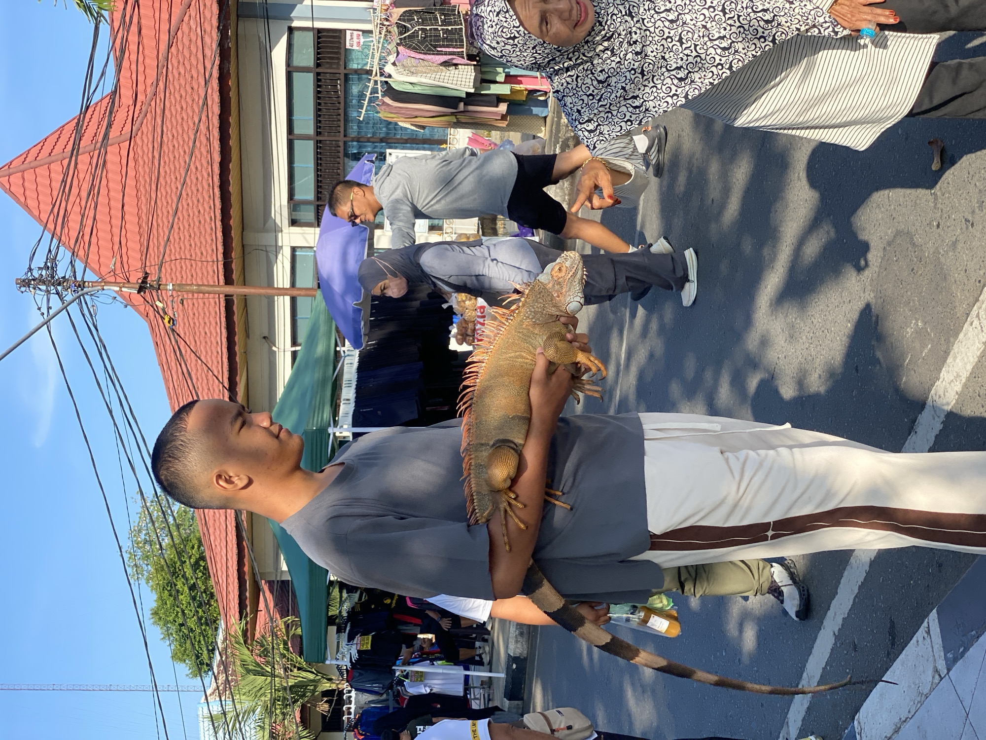 A young man holds an iguana in his arms in the city of Banjarbaru, Indonesia. The man, wearing a grey t-shirt and white pants with a brown stripe, stands in the foreground of the image. The iguana is orange and has prominent spikes along its back and tail. In the background, a street market is visible, with tents and racks of clothing. Several other people are present, including a woman wearing a hijab and a man in sunglasses. The scene appears to be outdoors, with a bright blue sky and shadows cast by the sun. The city of Banjarbaru, located in South Kalimantan, Indonesia, is known for its dry climate and lush tropical vegetation, which can be seen in the background of the image.