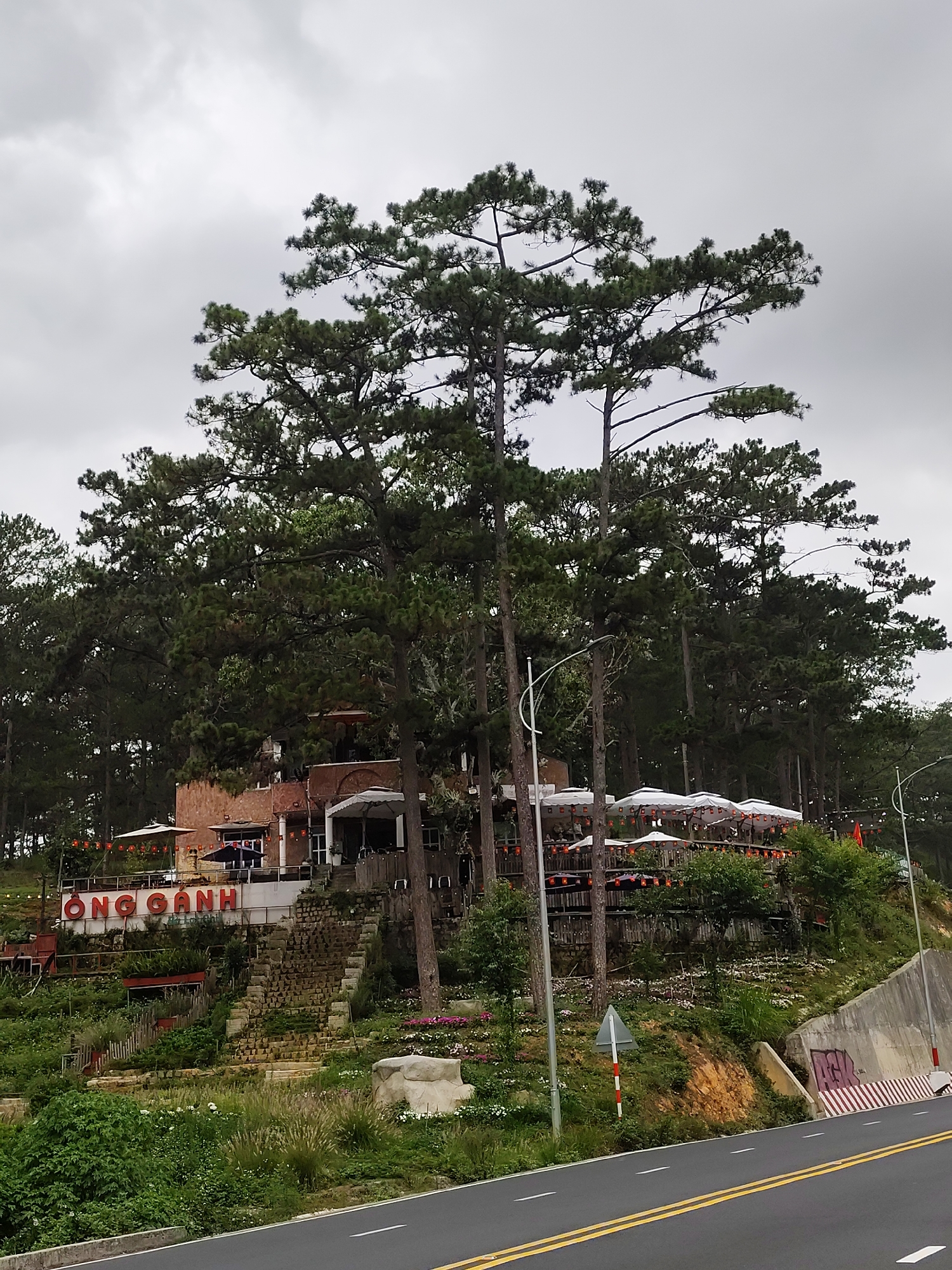 The image shows the "Ong Ganh" restaurant in Da Lat, Vietnam, situated on a hillside. The restaurant, a two-story brick structure, is partially obscured by tall pine trees. Several white umbrellas are visible on the restaurant's terraces. A large red sign with the name of the restaurant "ONG GANH" is on the hillside. Steps lead up the slope to the restaurant. The foreground features a road with double yellow lines. A concrete retaining wall supports the hillside, with a guardrail. The sky is overcast.