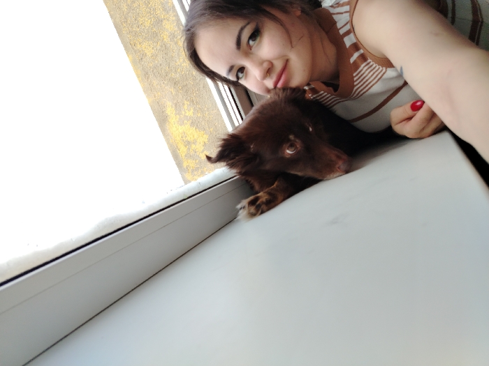 The scene is an indoor setting in the city of Noviy, Russia, observed from an elevated, angled perspective, consistent with a selfie. A female individual is positioned in the upper right quadrant of the frame. She has dark hair, a light complexion, and a nose ring on her left nostril. She is wearing a brown and white striped sleeveless top. Her left hand, with red nail polish, is visible. She maintains eye contact with the camera and exhibits a slight smile. Directly in front of and below her is a small, dark brown, long-haired dog, resting its head on a white surface. The dog is also looking towards the camera. This white surface is identified as a wide windowsill or ledge. Beyond the window, a layer of white snow covers the exterior ledge, indicating cold weather conditions. Further in the background, an exterior wall or building surface with patches of yellow and dark coloration is visible. The scene is illuminated by bright daylight originating from outside the window.