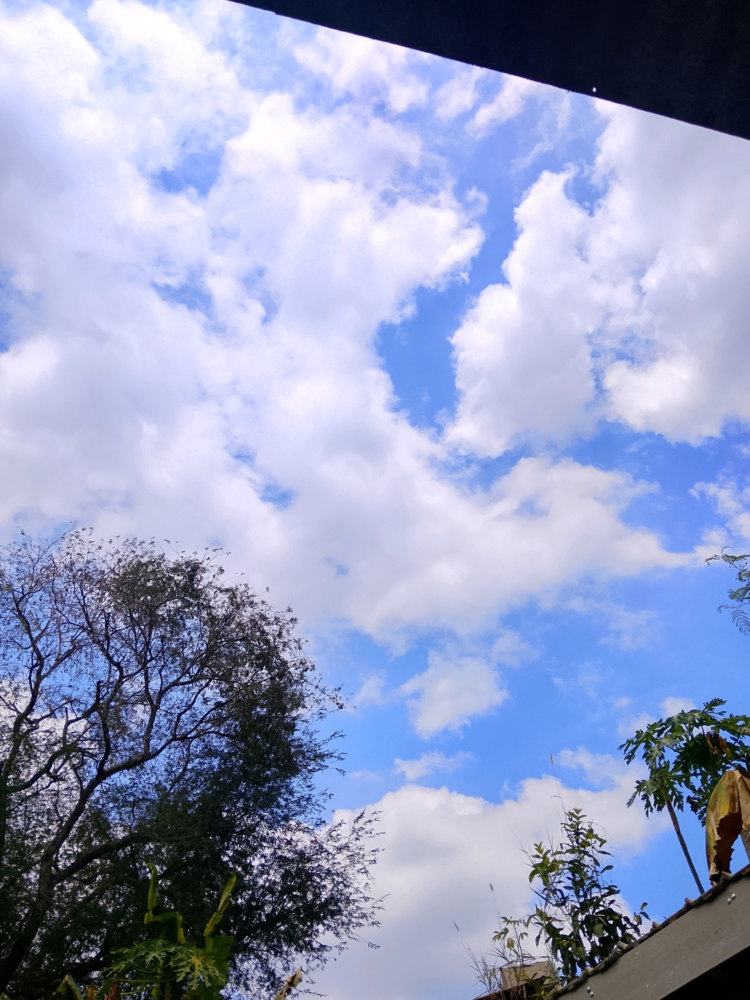 The image shows a clear blue sky with scattered white clouds. In the foreground, there are several trees with dense foliage, silhouetted against the sky. A portion of a roof is visible in the lower right corner of the frame, with some plants growing on it. The overall impression is of an outdoor scene, possibly a residential area or a park, on a bright and partly cloudy day. There are no people or any specific urban landmarks visible in the image to determine a precise location within a city.