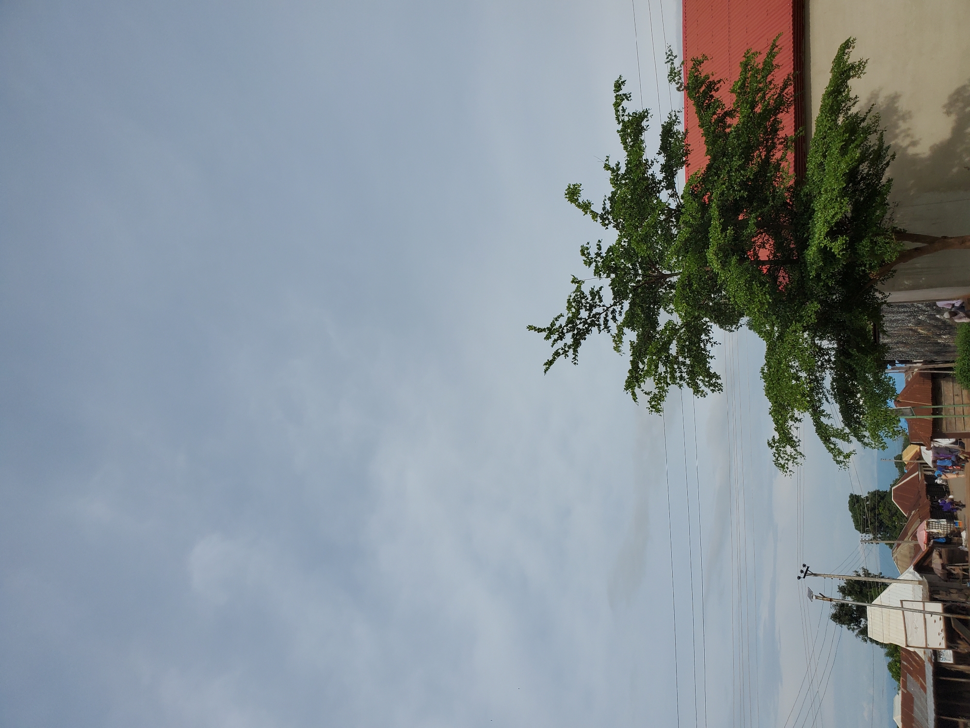 The image displays an outdoor scene captured during the daytime in Mararaba, Nigeria, featuring a street view dominated by a bright sky, lush greenery, and various structures. The sky occupies a significant portion of the upper left, appearing light blue with scattered, wispy clouds.
A prominent tree with abundant green foliage stands on the right side of the frame, its branches extending towards the center. Behind this tree, a building is visible with a distinct red corrugated metal roof and a light-colored wall, upon which the tree casts a soft shadow.
Numerous power lines traverse the middle ground, stretching horizontally across the scene and connecting to utility poles, one of which is clearly visible on the left. Further into the background on the left, a collection of buildings with brownish or rusty corrugated metal roofs can be seen, suggesting either residential or commercial establishments. Some blurry figures, likely people, are visible in the distance near these structures, indicating everyday activity on the street. Hints of colorful tarps or awnings can also be discerned in the background, possibly belonging to market stalls.
The scene conveys a sense of a typical, active semi-urban environment under a clear to partly cloudy sky. The lighting suggests it is late morning or early afternoon. No legible text is visible in the image.