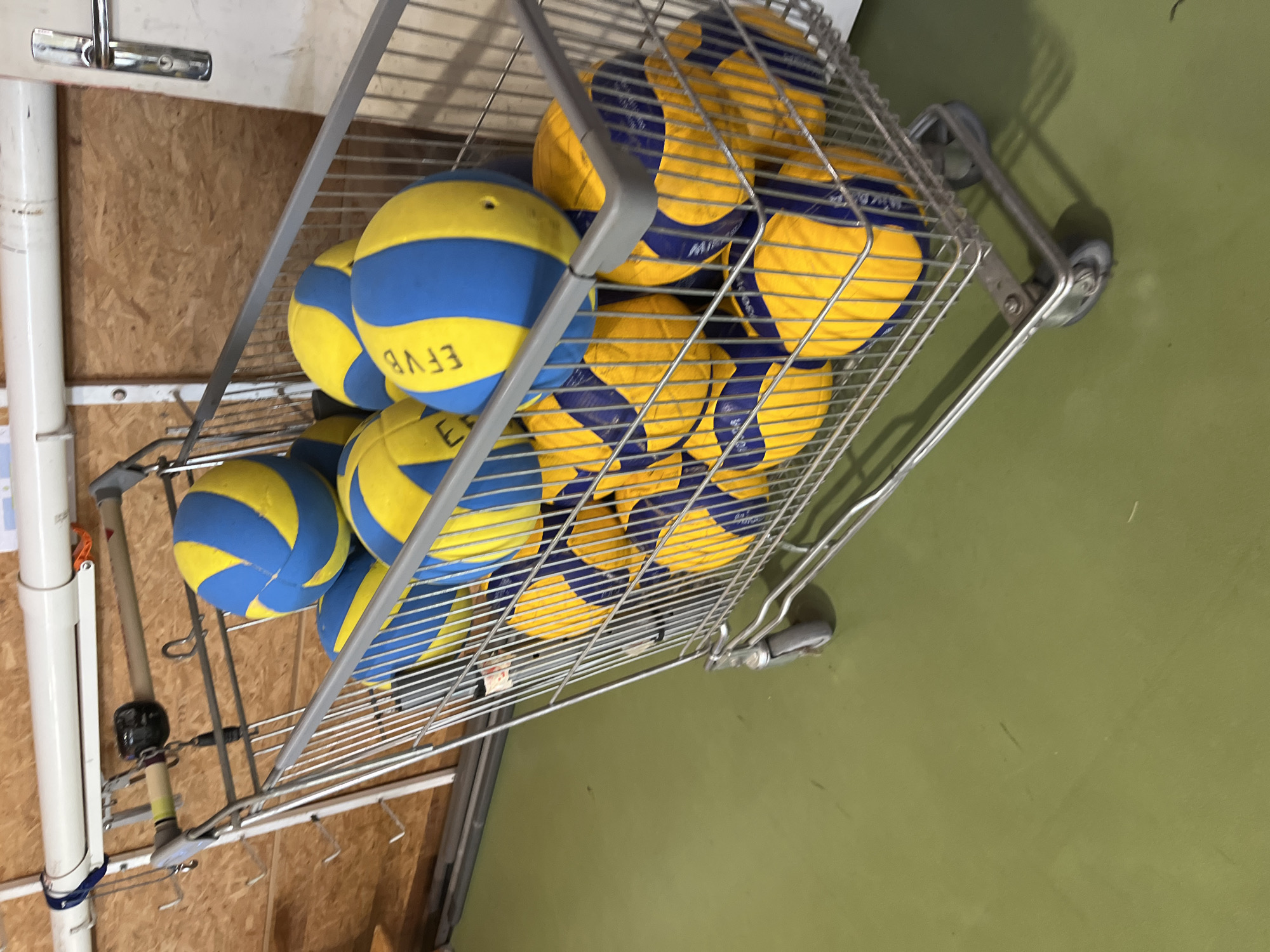 A metal wire cart, resembling a shopping trolley, is positioned indoors, filled with numerous yellow and blue volleyballs. The cart's frame is silver-colored, and its wheels are visible on the right side. The background features two distinct wall surfaces: a light brown wooden or particle board wall on the left, and a smooth olive-green painted wall on the right. White PVC pipes and various metal fixtures, including a door handle and hangers, are attached to or near the wooden wall.
Many of the volleyballs are two-toned, bright yellow and blue. Several balls prominently display black text, most clearly "EFVB", on their blue sections, suggesting a brand, league, or identification mark. The scene depicts a storage area or equipment room within a sports facility, likely in La Fouillouse, France, given the context. No people are present, and no activity is explicitly occurring, but the arrangement of the equipment indicates readiness for or recent involvement in volleyball training or games. The lighting is consistent with an indoor setting.